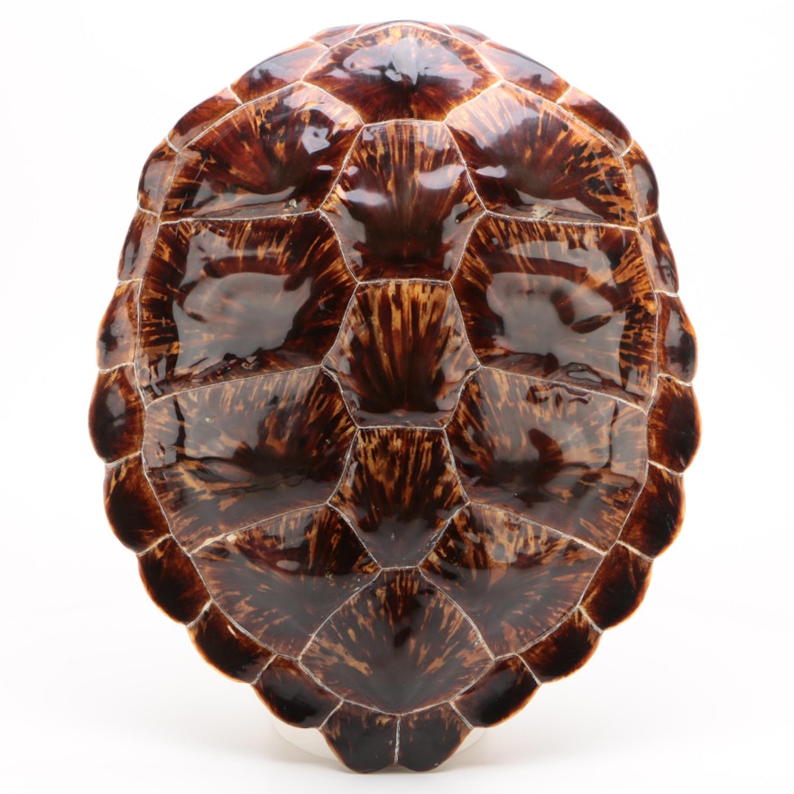 Hawksbill Sea Turtle Shell, Early 20th Century
