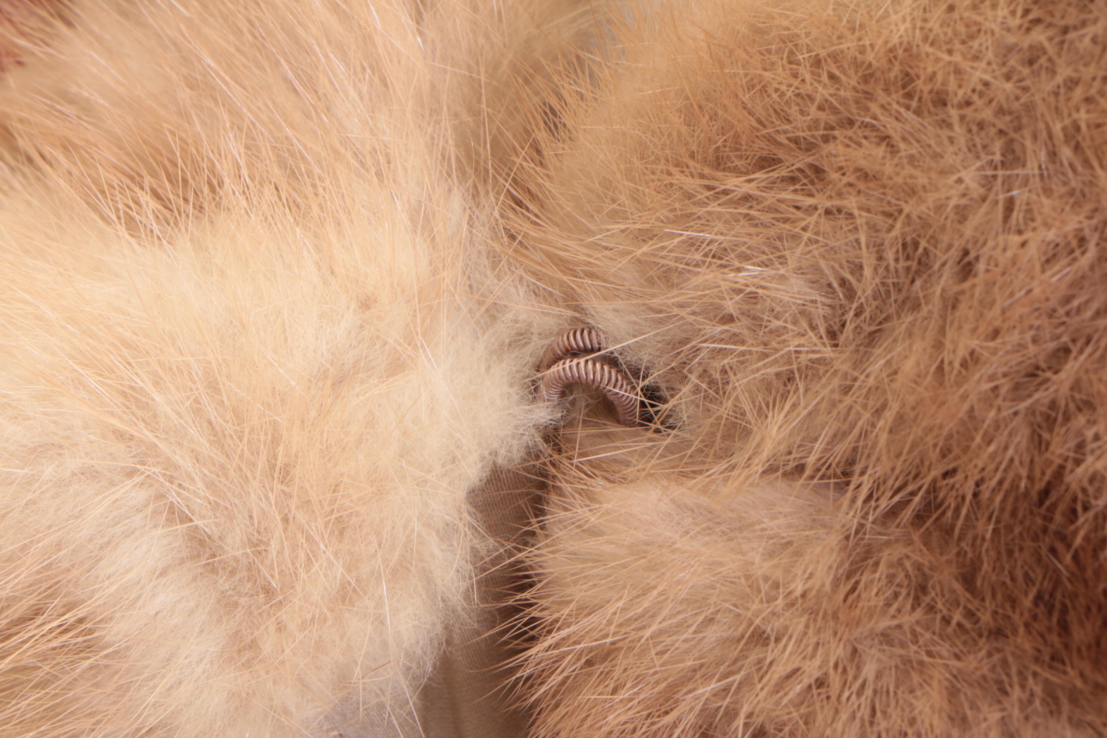 Pastel Mink Fur Stole from Gartenhaus Furs, Vintage