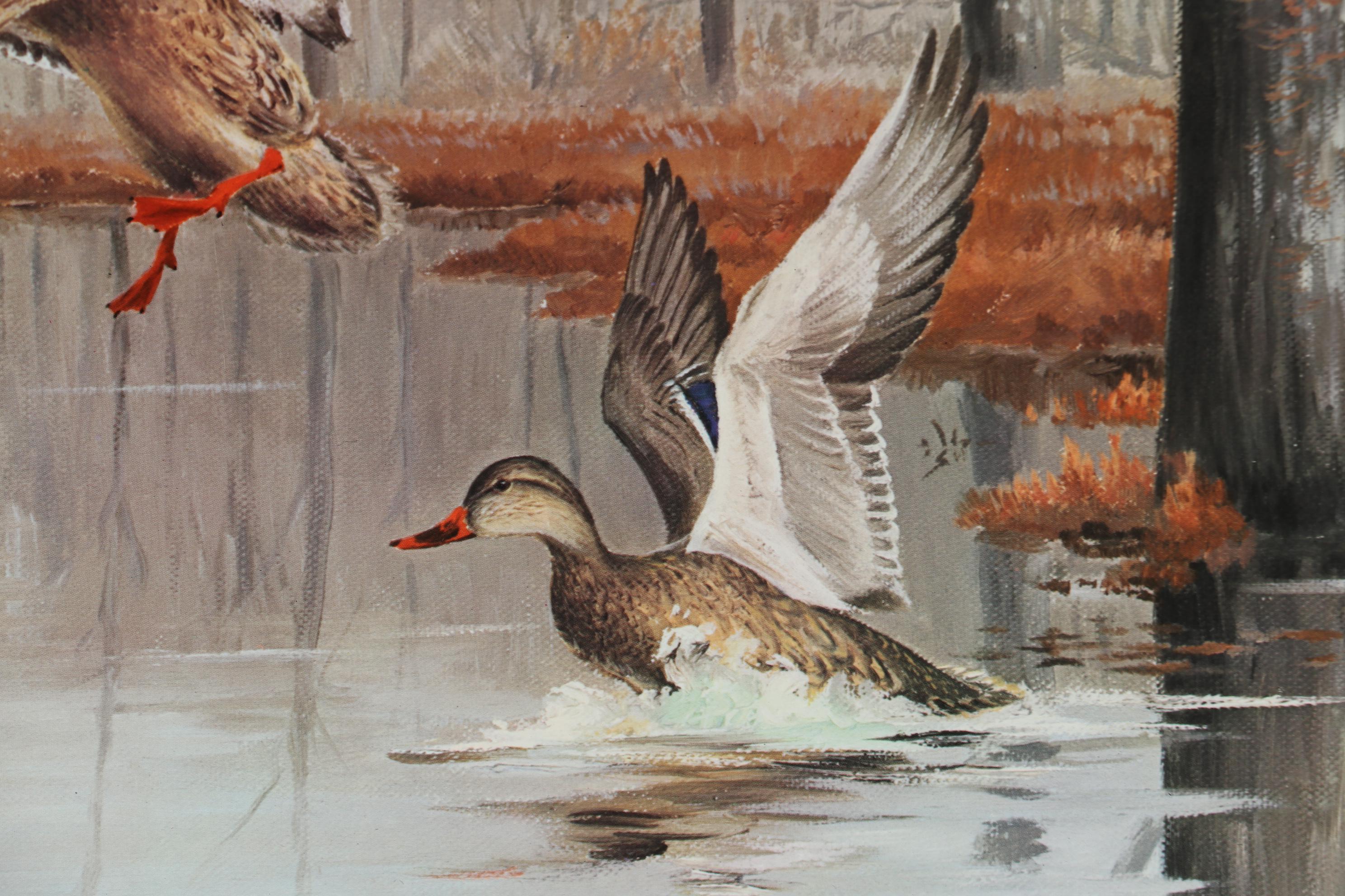Maynard Reece Wildlife Offset Lithograph "Mallards"