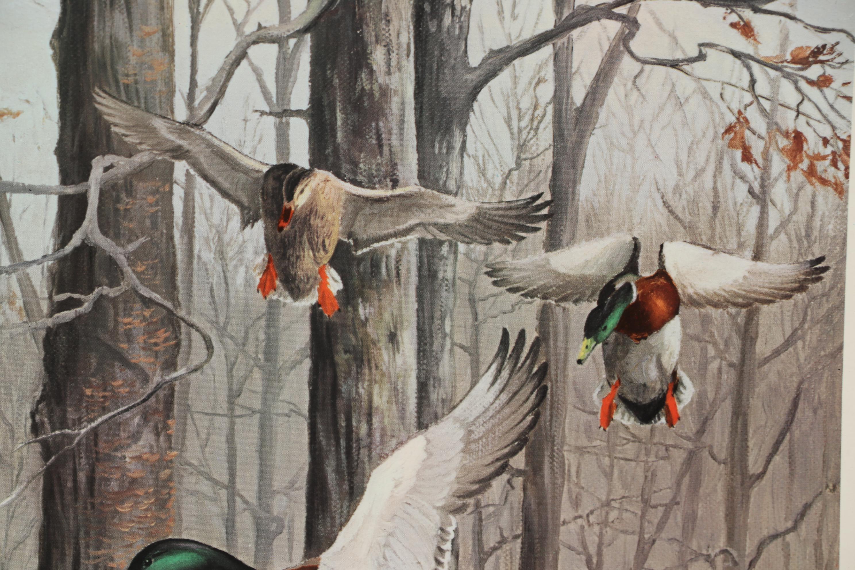 Maynard Reece Wildlife Offset Lithograph "Mallards"