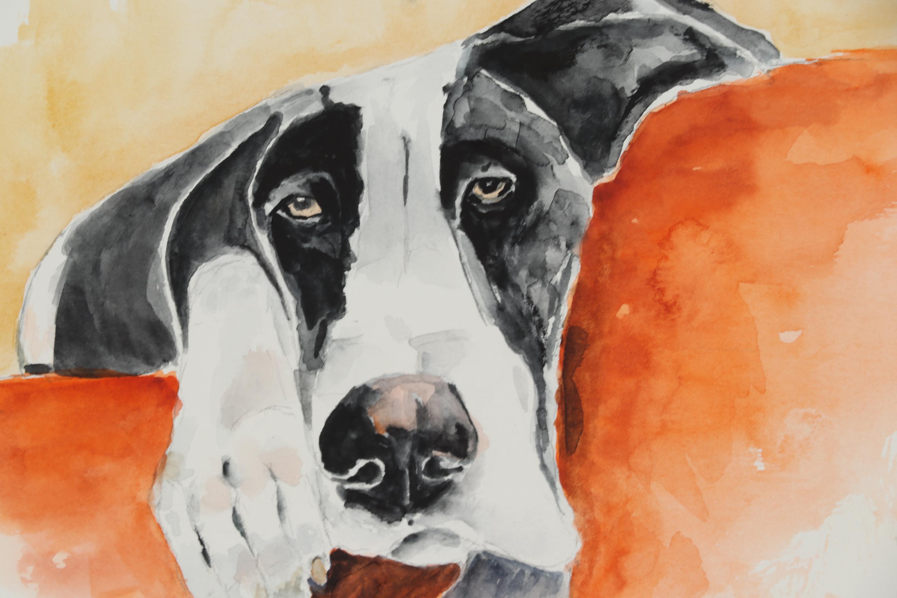 Alex Gunn Watercolor Painting of Relaxed Dog Portrait