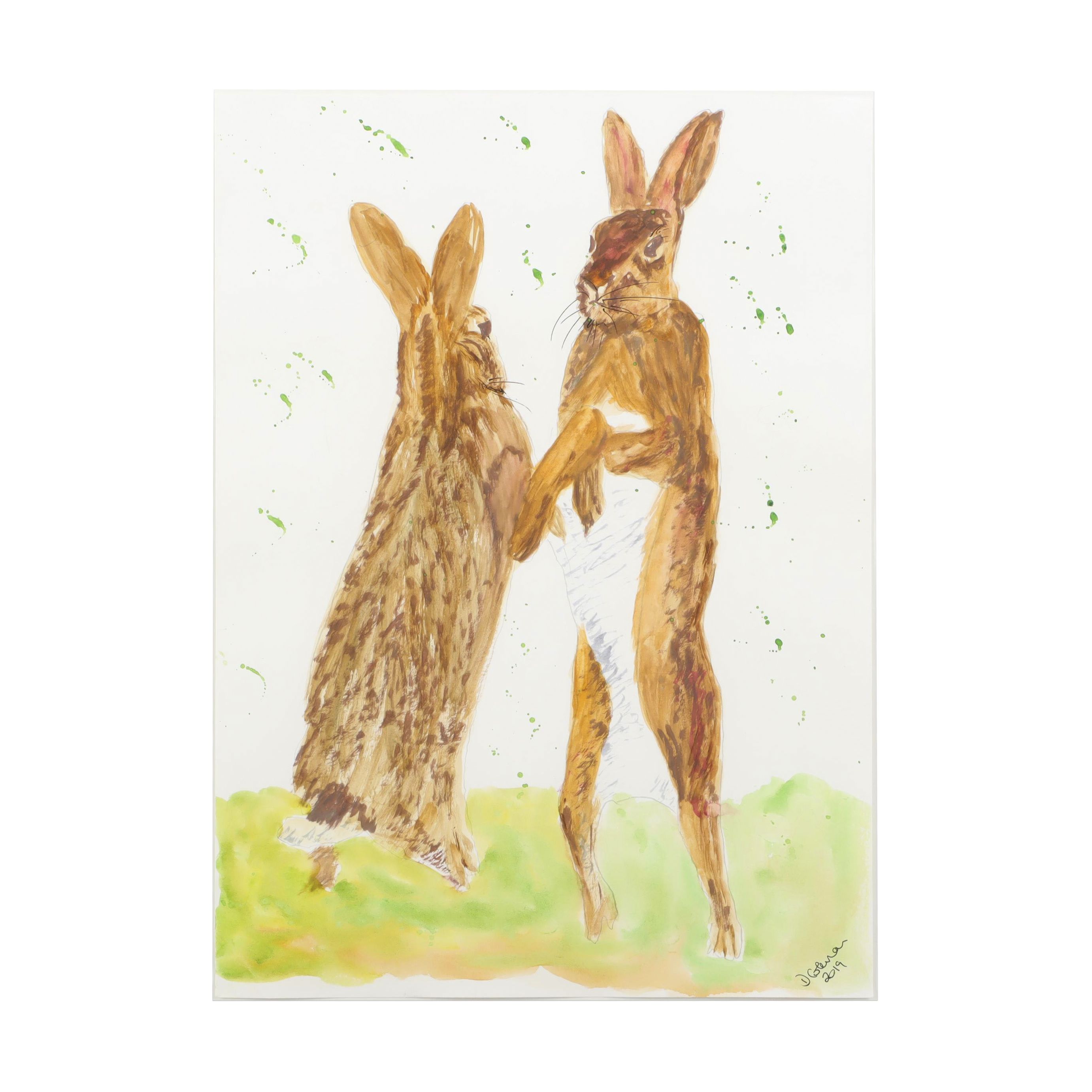 D. Coleman Watercolor Painting of Rabbits