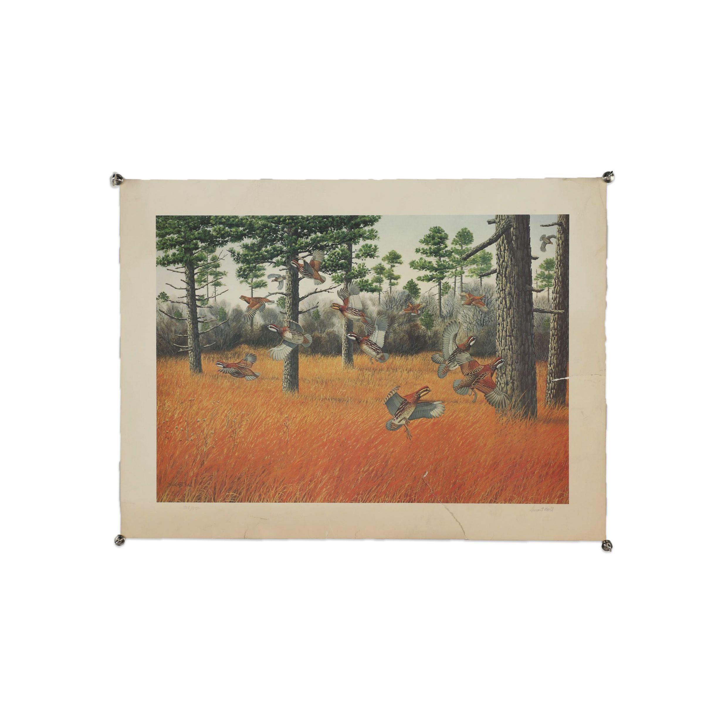 Durant Ball Wildlife Offset Lithograph
