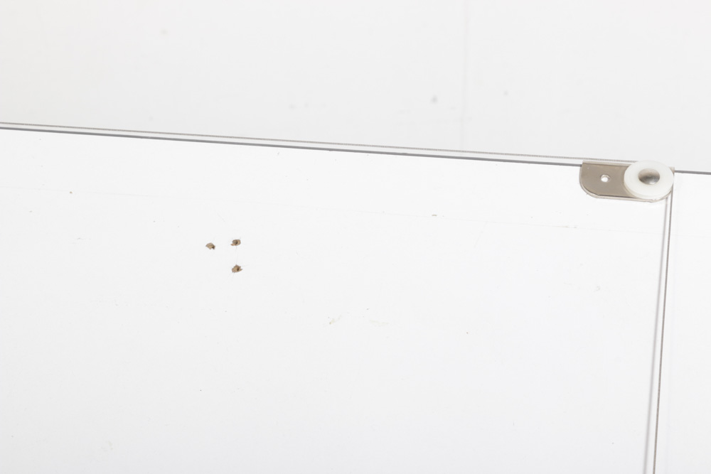 Neolt Poker Architetto Drafting Table