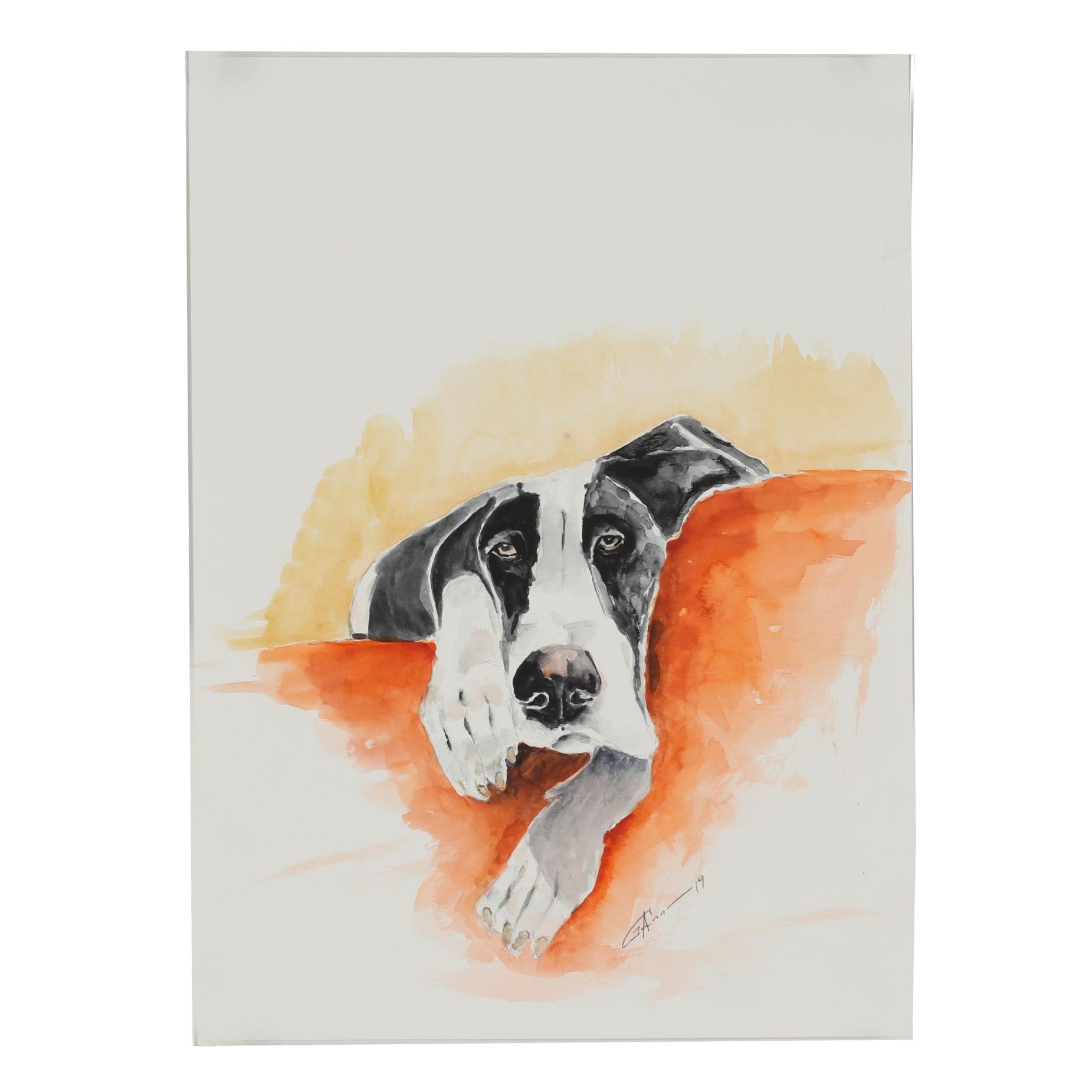 Alex Gunn Watercolor Painting of Relaxed Dog Portrait