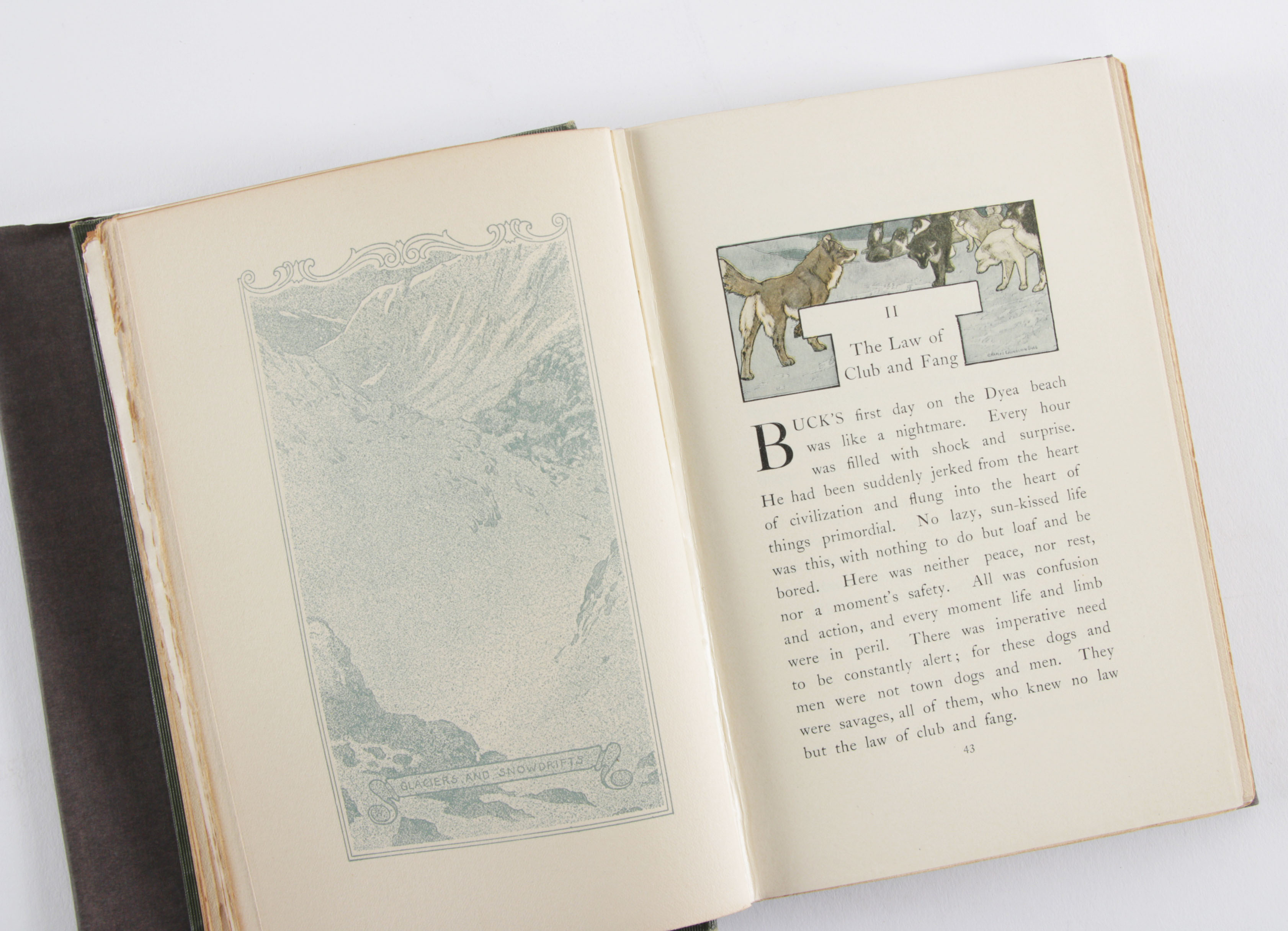 First Edition "Call of the Wild" by Jack London with Signed Check