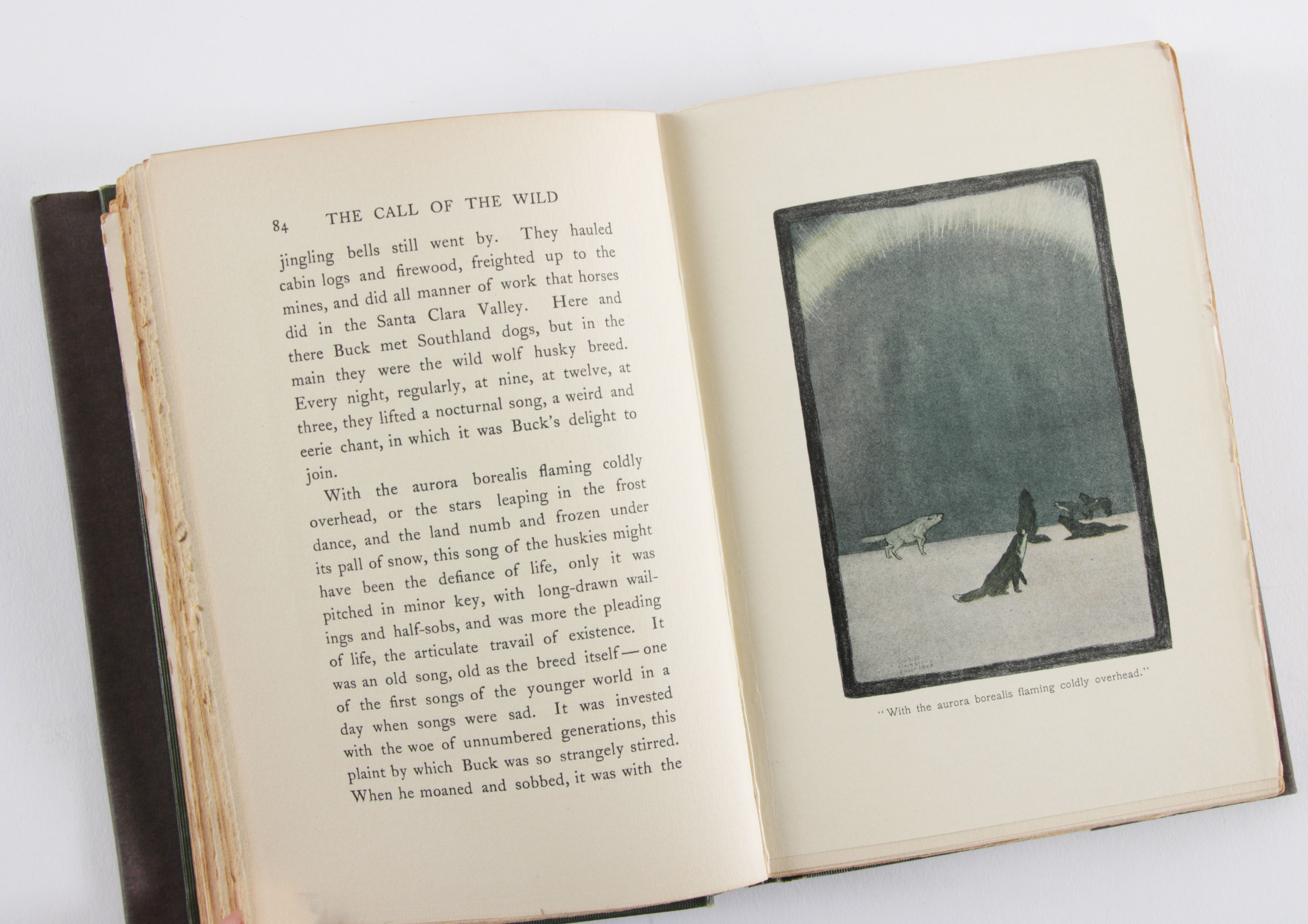 First Edition "Call of the Wild" by Jack London with Signed Check