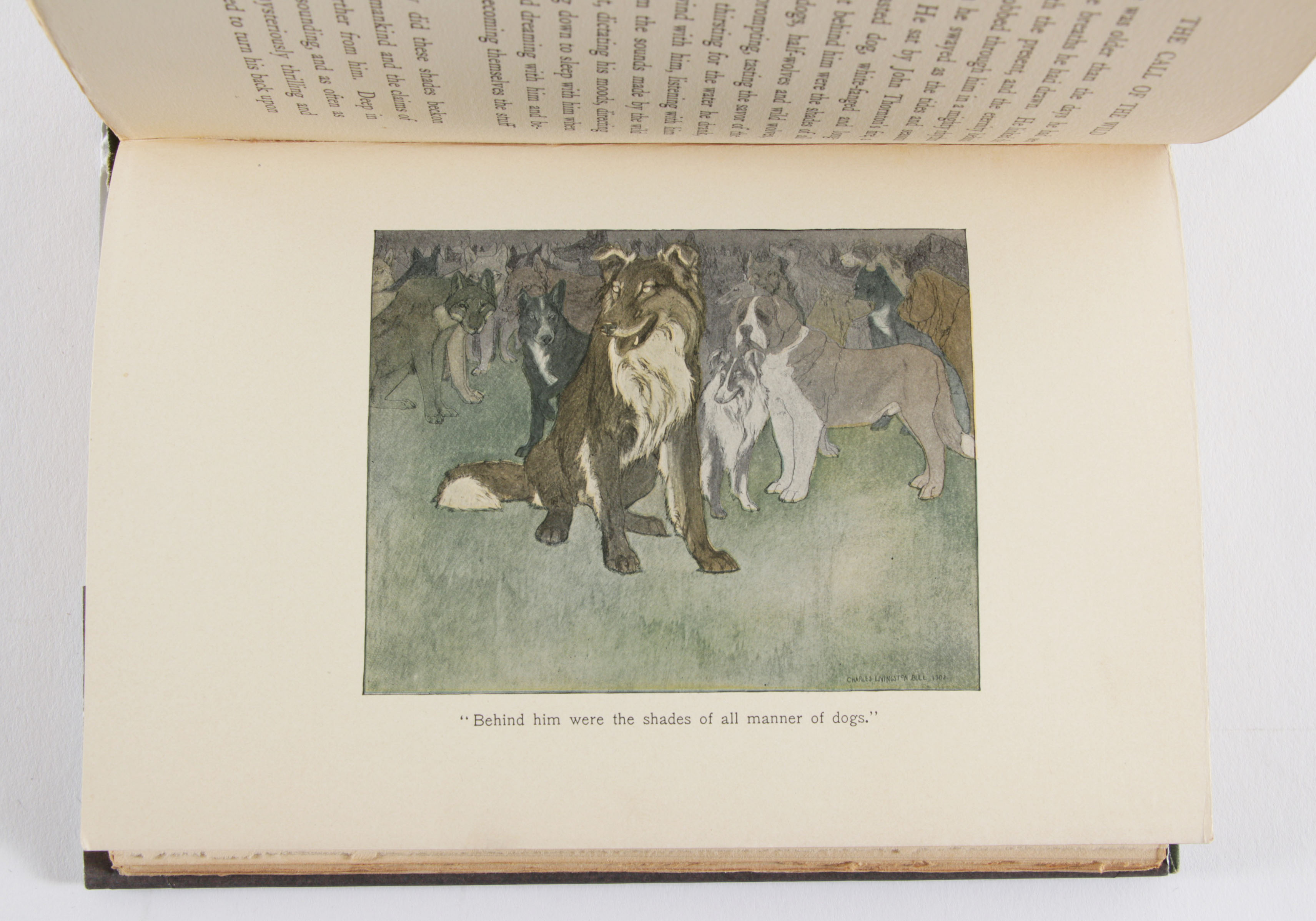 First Edition "Call of the Wild" by Jack London with Signed Check