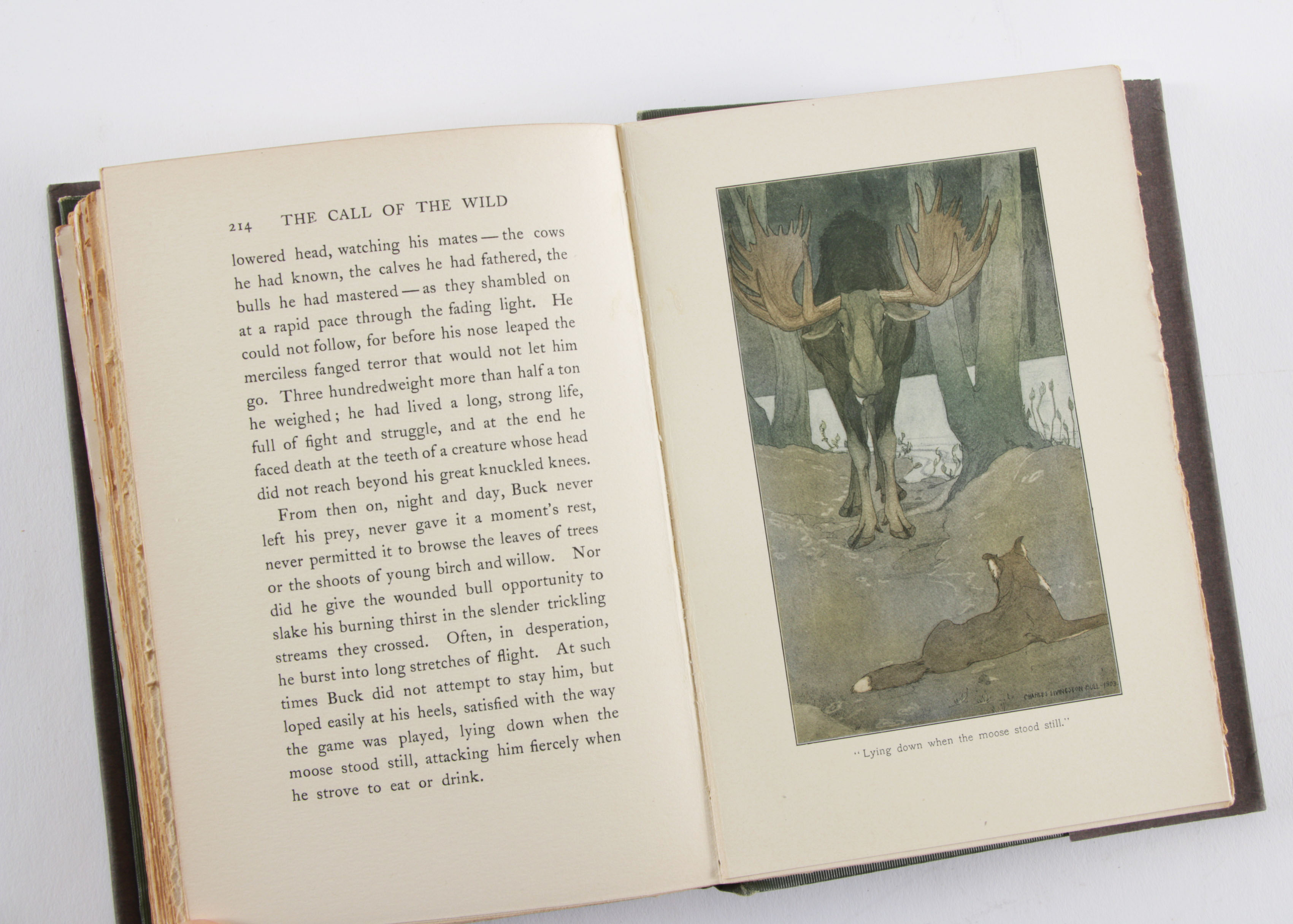 First Edition "Call of the Wild" by Jack London with Signed Check