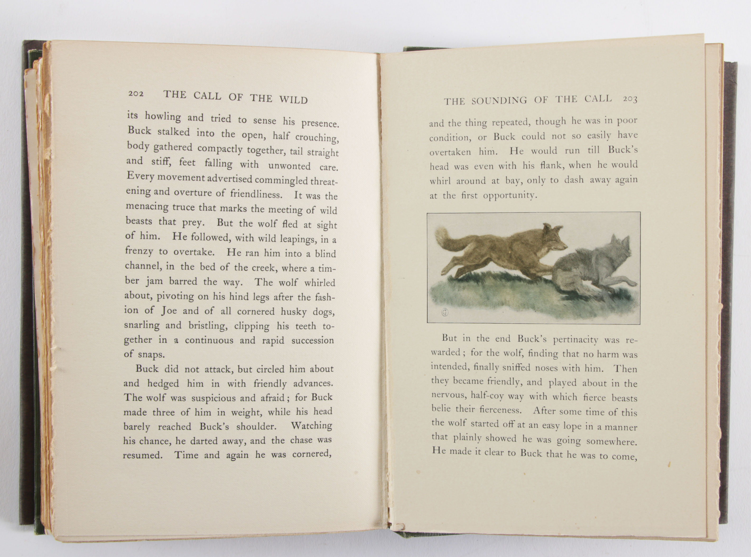 First Edition "Call of the Wild" by Jack London with Signed Check