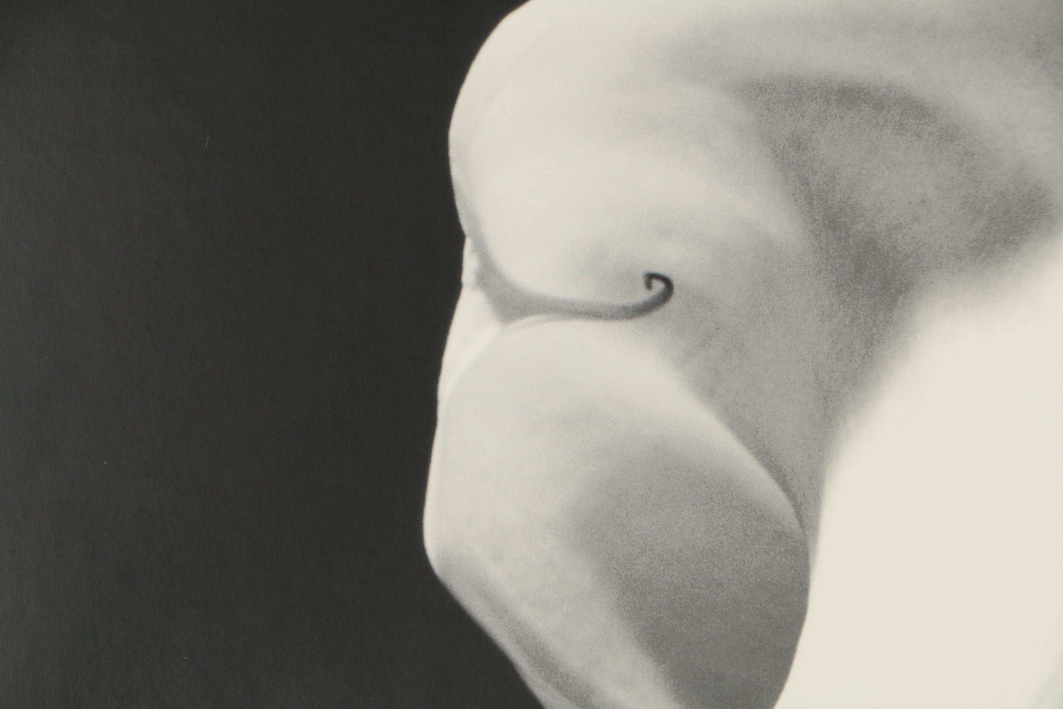 Robert Mapplethorpe 1990 Exhibition Poster "The Perfect Moment"