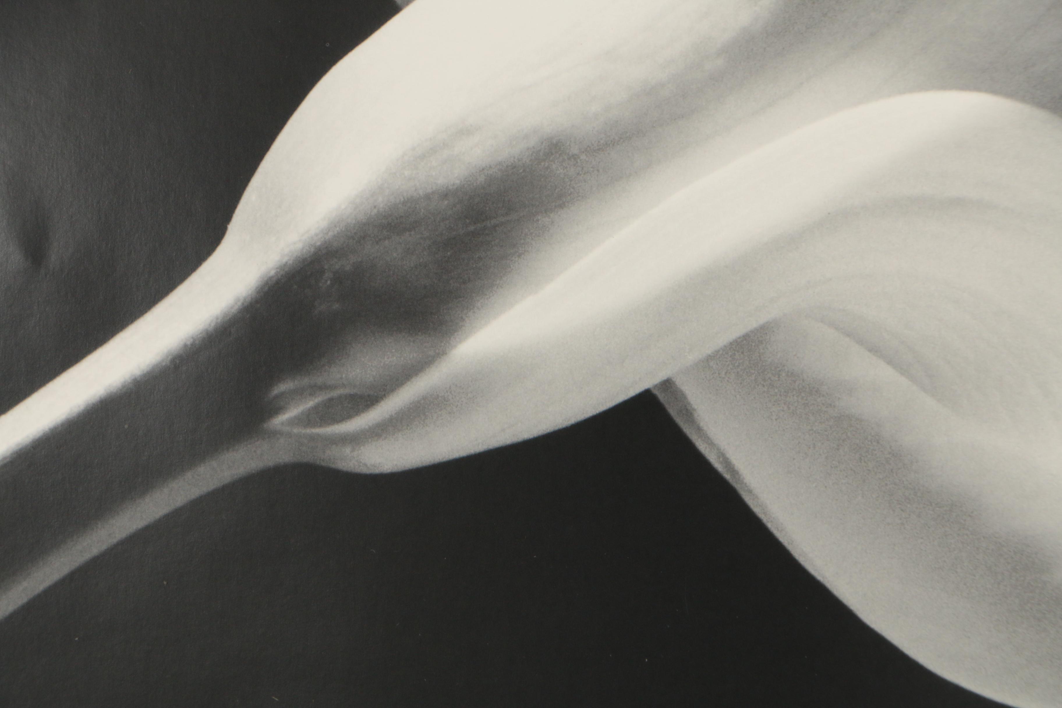 Robert Mapplethorpe 1990 Exhibition Poster "The Perfect Moment"