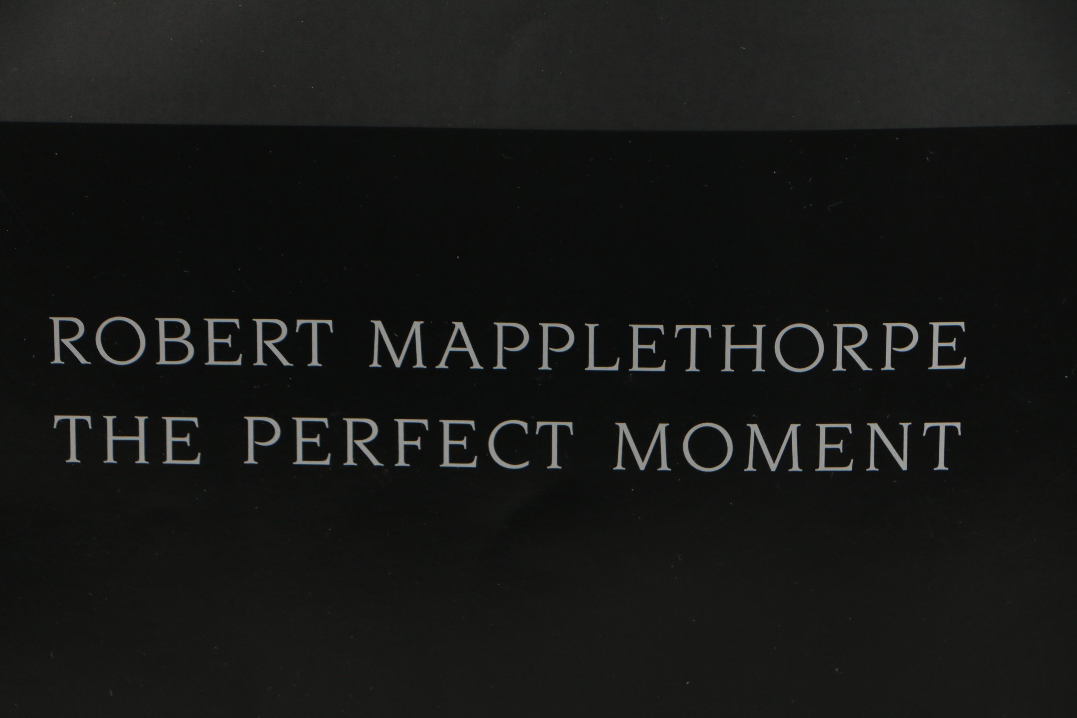 Robert Mapplethorpe 1990 Exhibition Poster "The Perfect Moment"