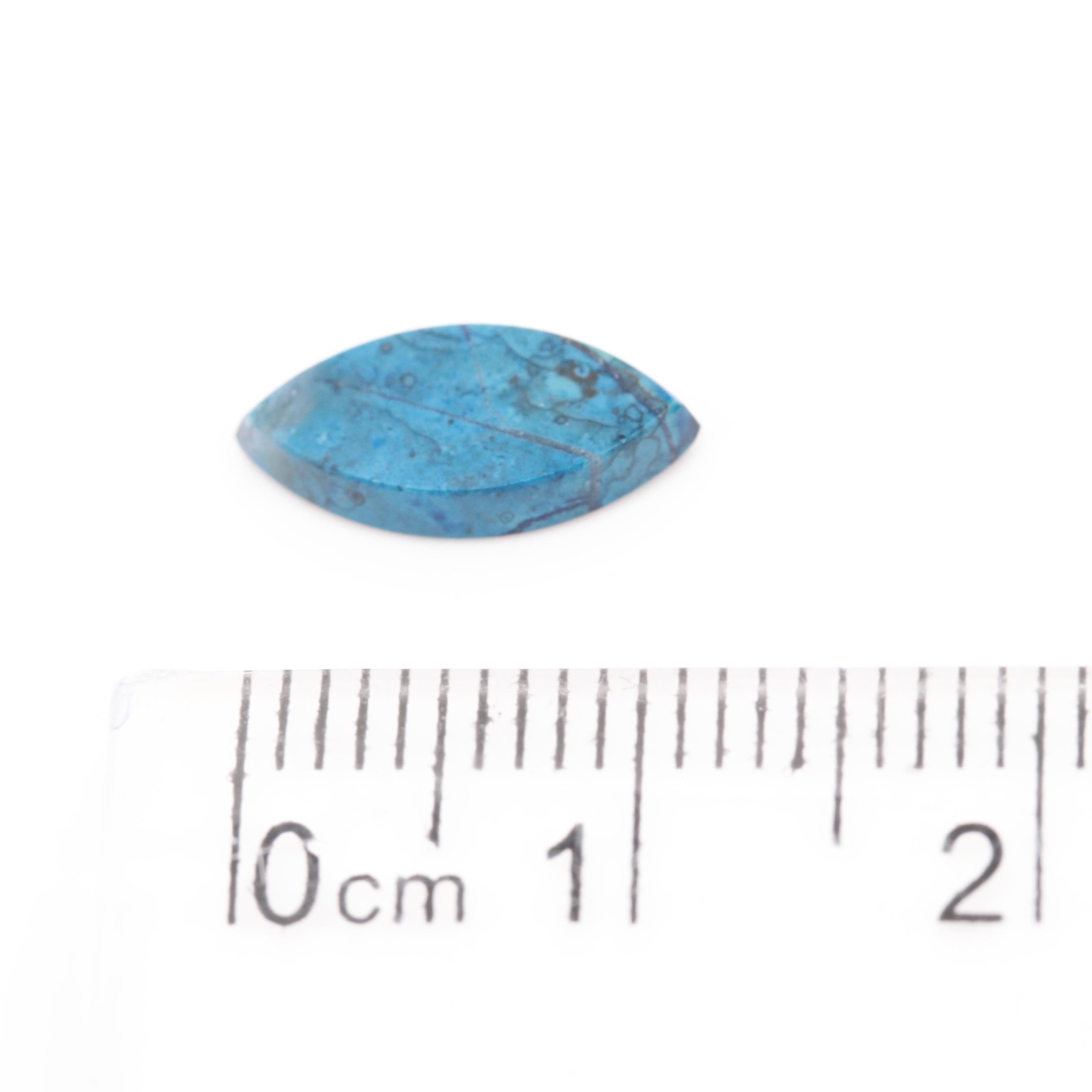 Loose Jasper Marquise Slices