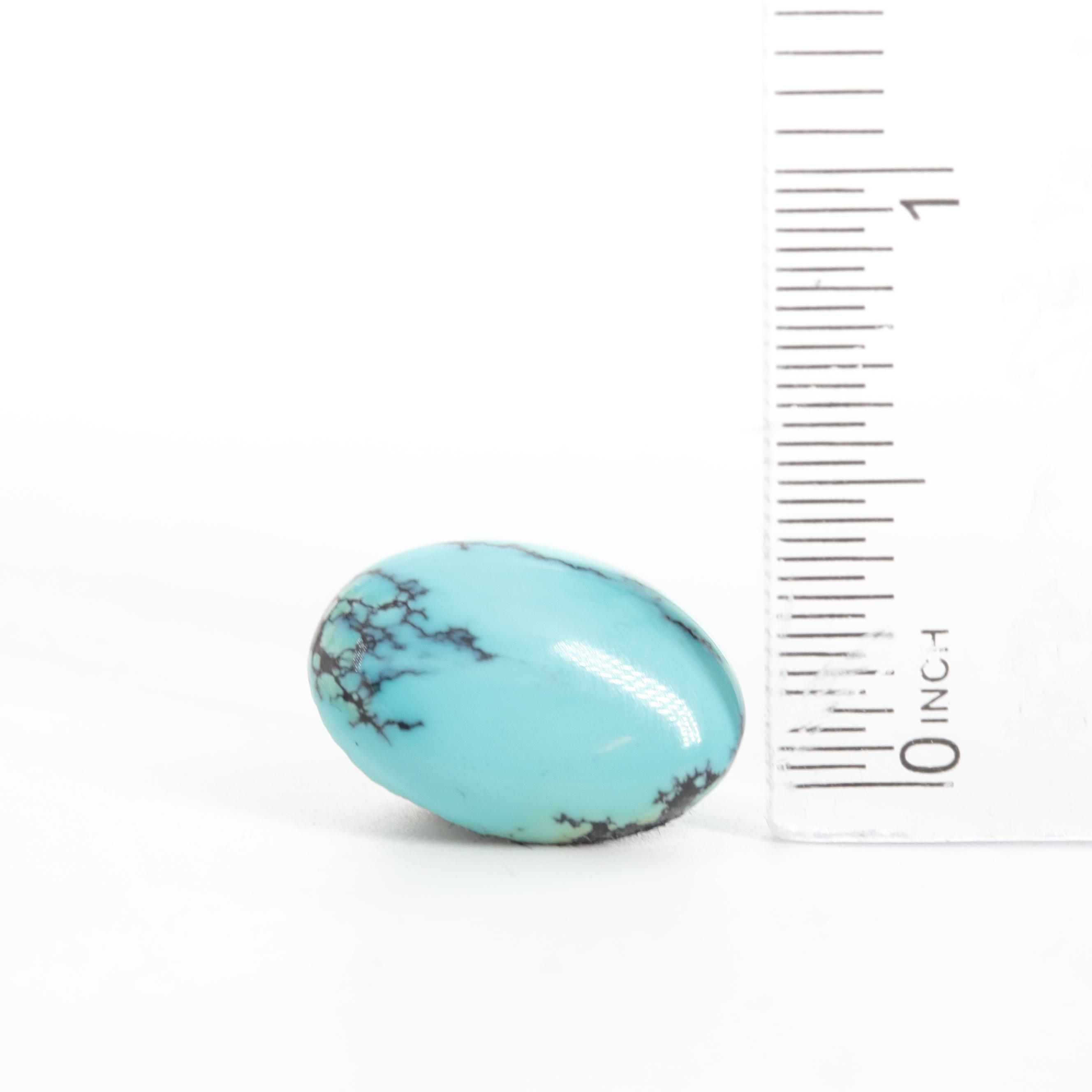 Loose 14.98 CTW Turquoise Matching Pair Stones
