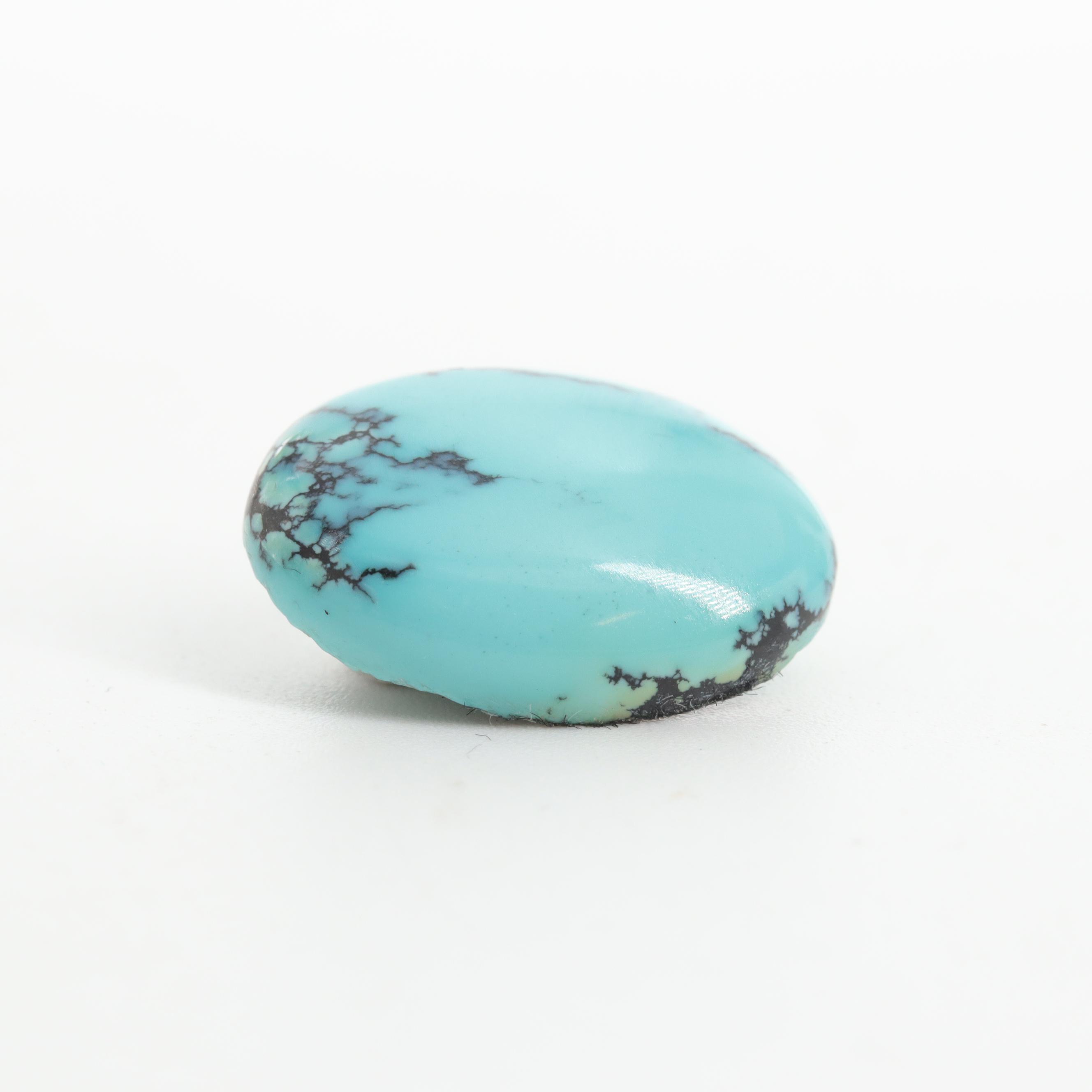 Loose 14.98 CTW Turquoise Matching Pair Stones