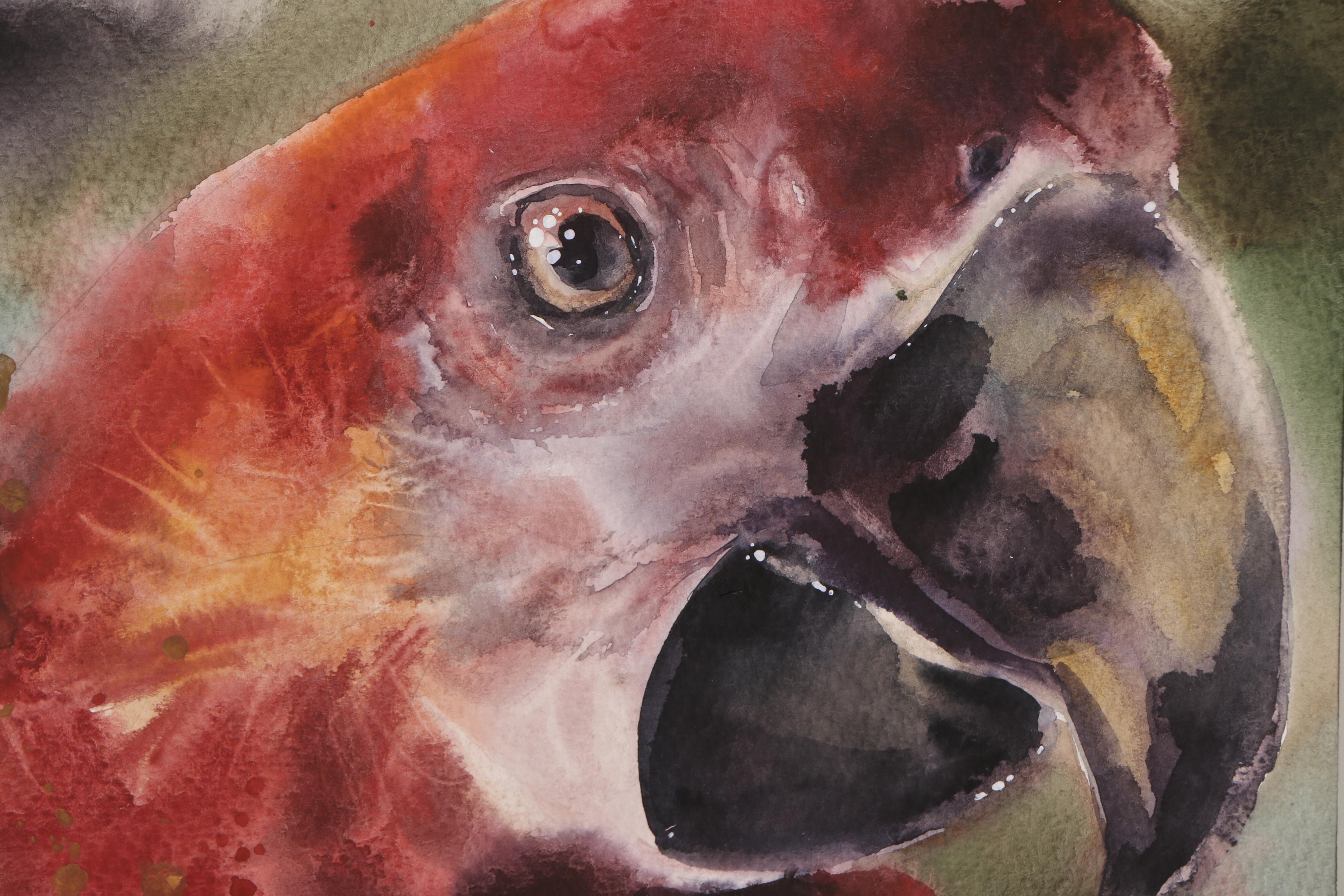 Parrot Watercolor Painting