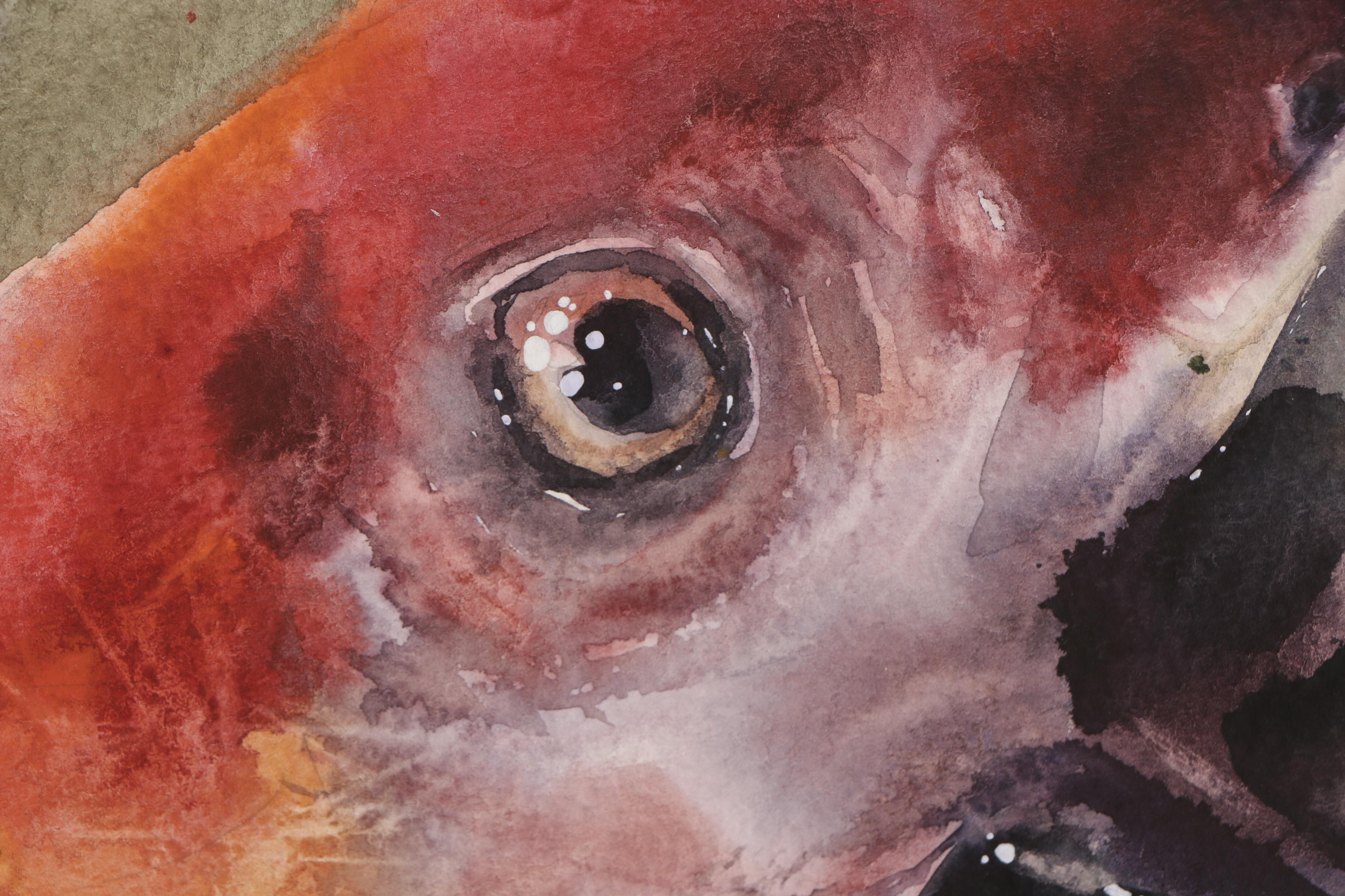 Parrot Watercolor Painting