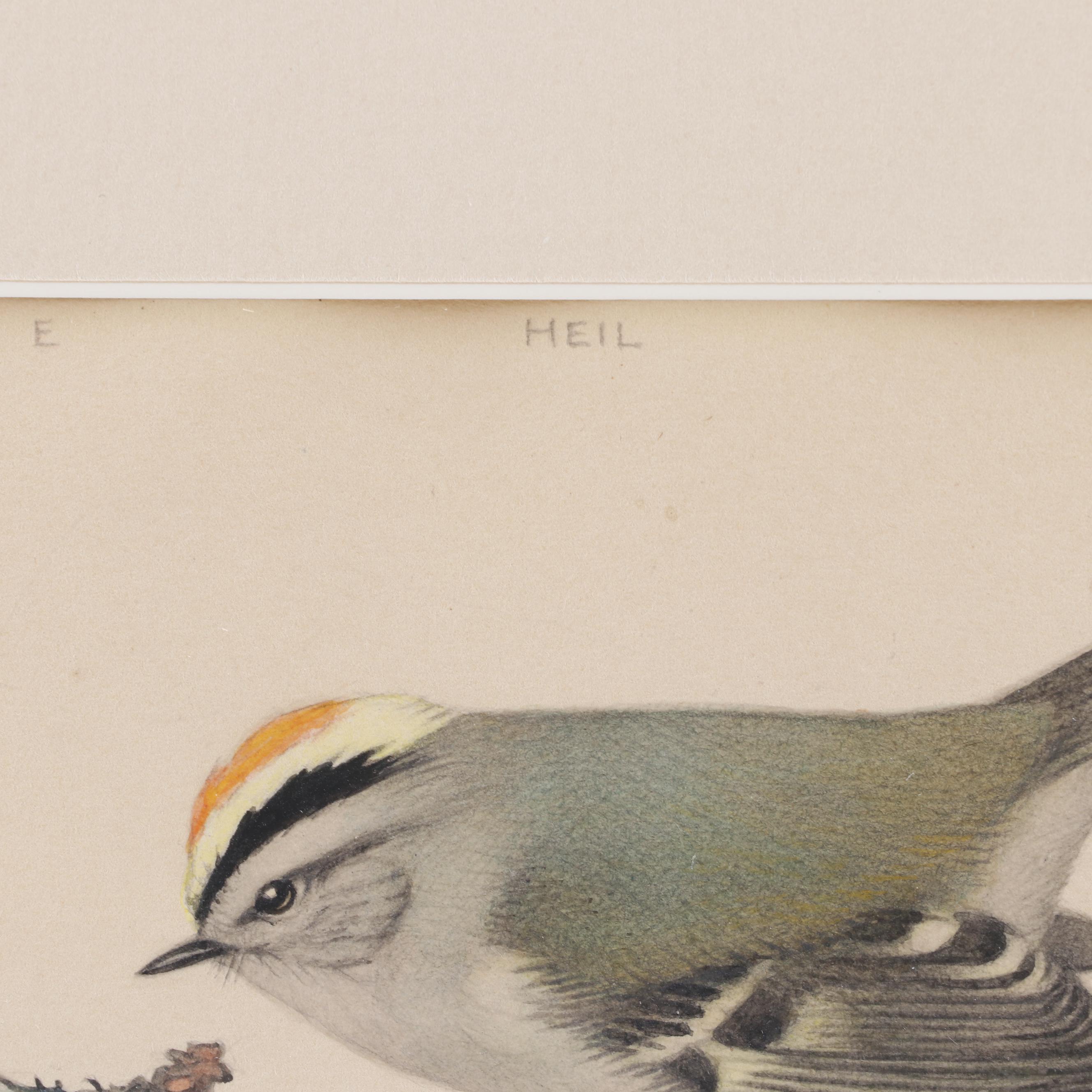 Charles Watercolor Painting "Heil"