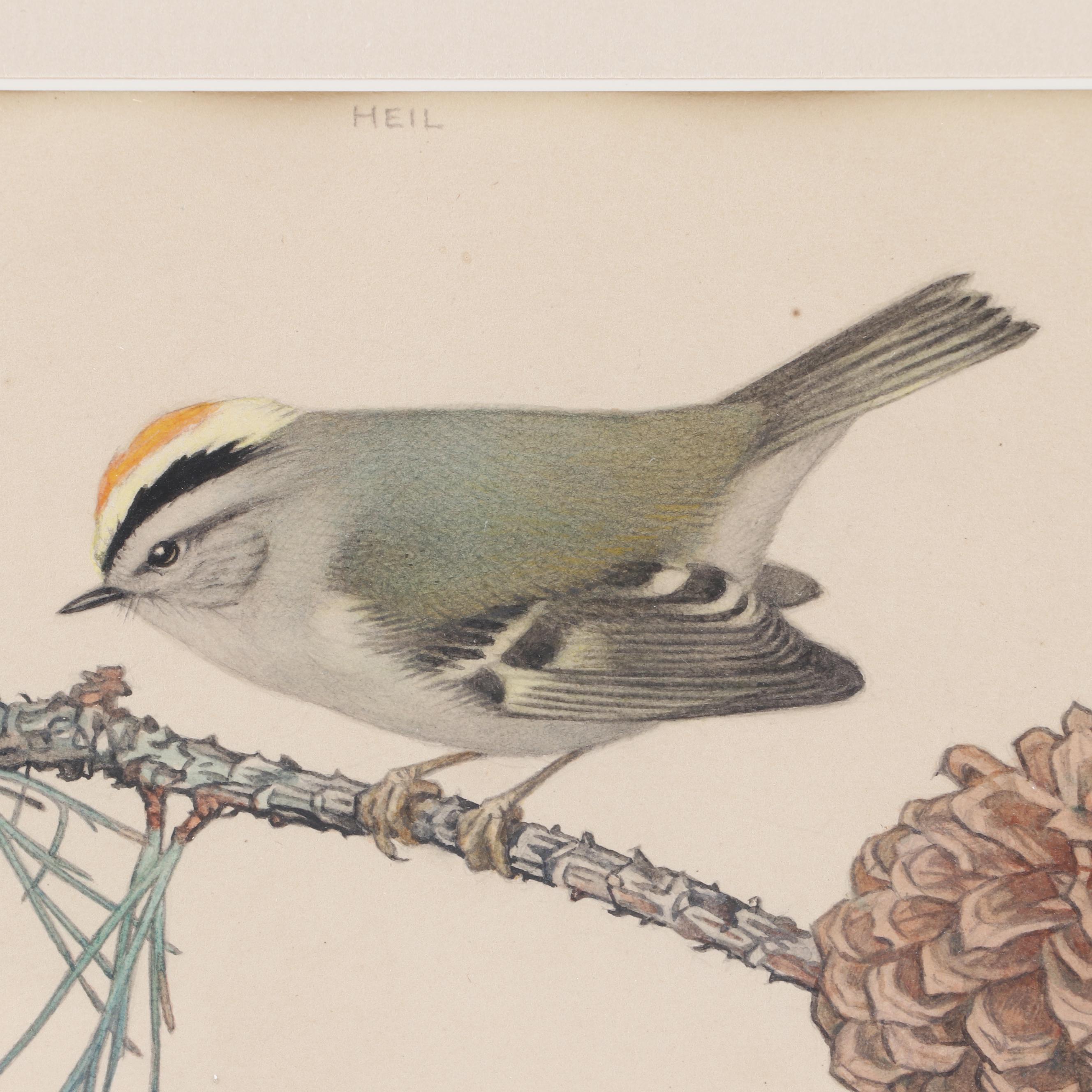 Charles Watercolor Painting "Heil"