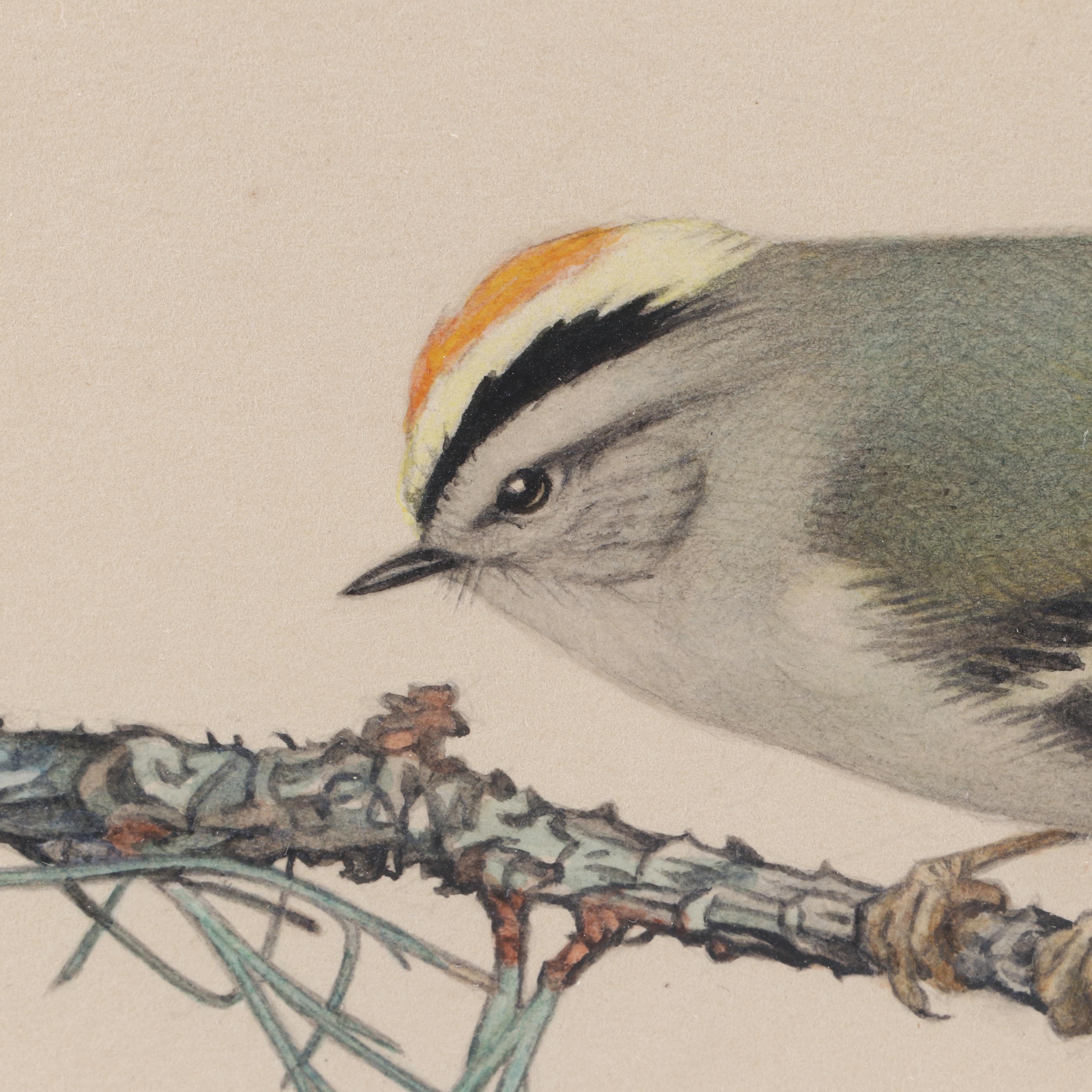 Charles Watercolor Painting "Heil"