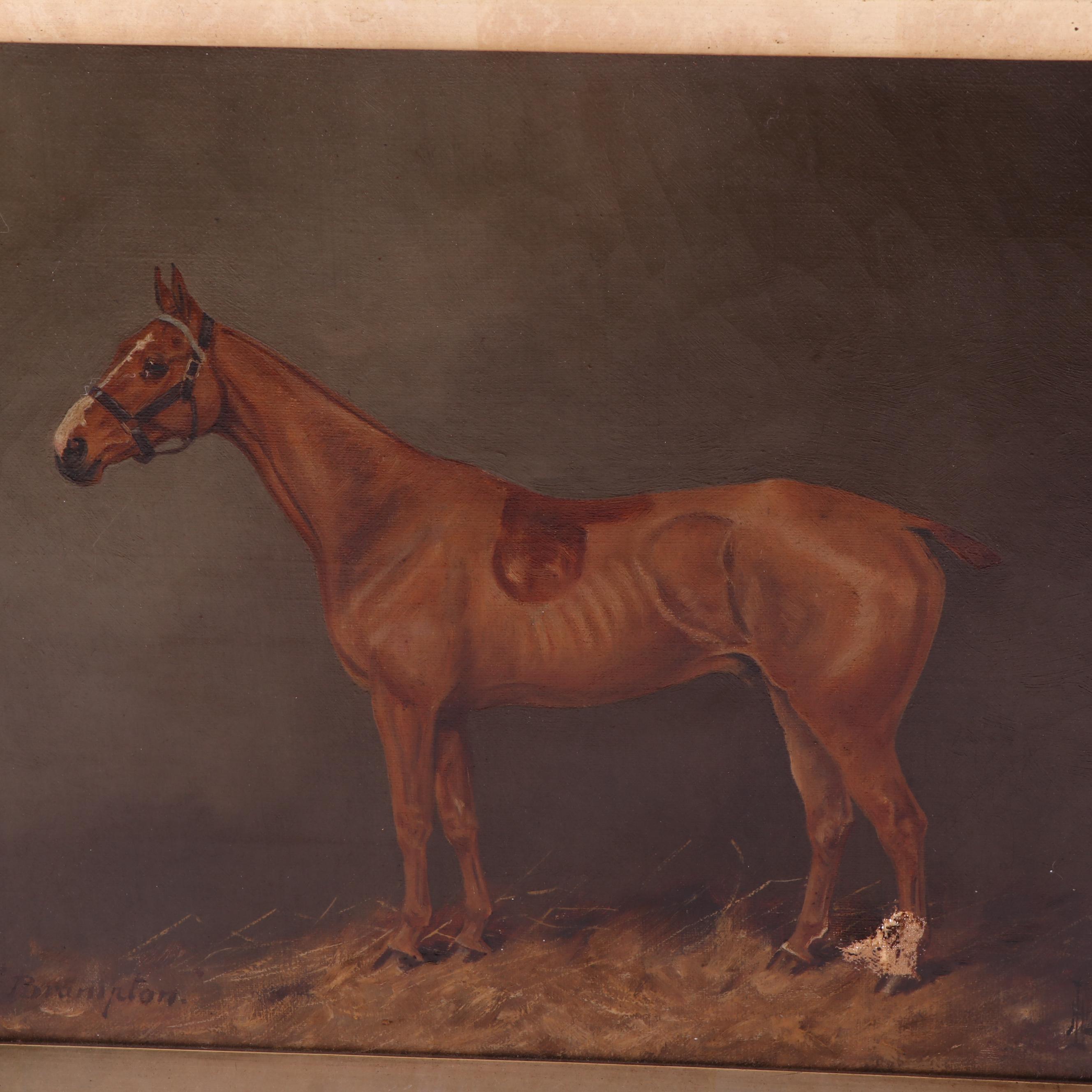Brampton Equestrian Oil Painting