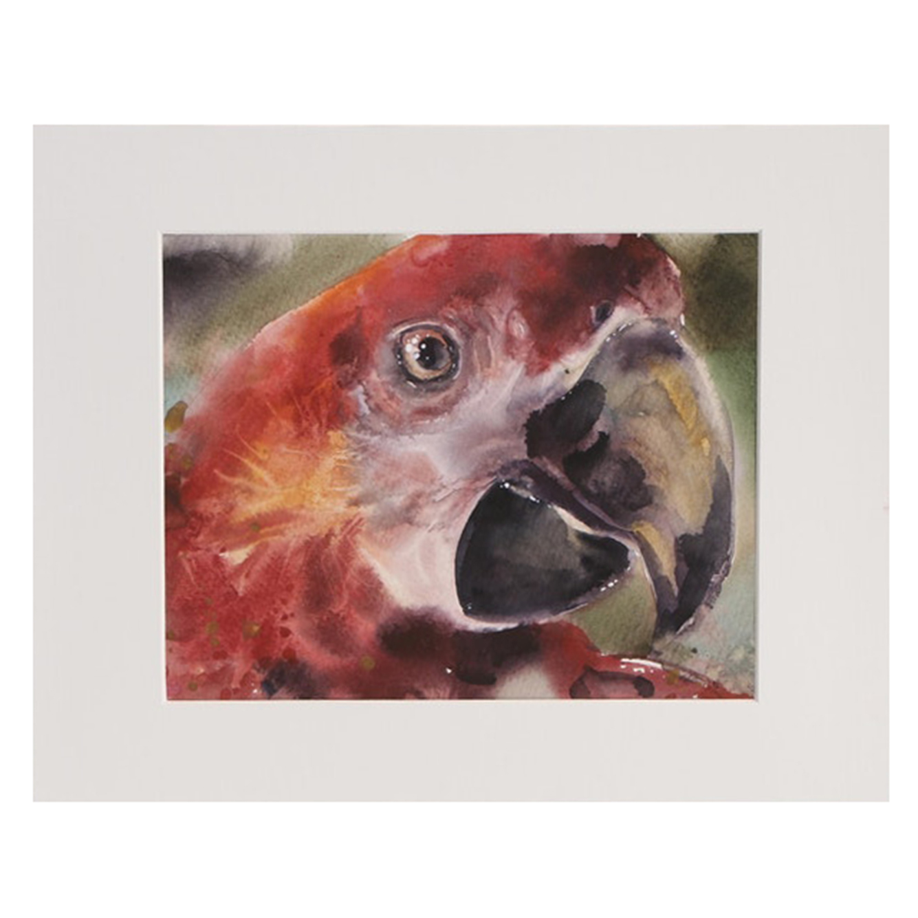 Parrot Watercolor Painting