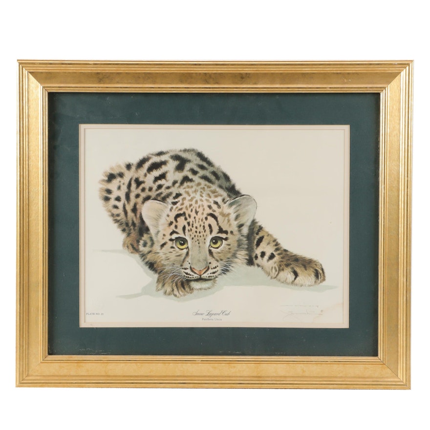 Offset Lithograph after Jim Oliver "Snow Leopard Cub"