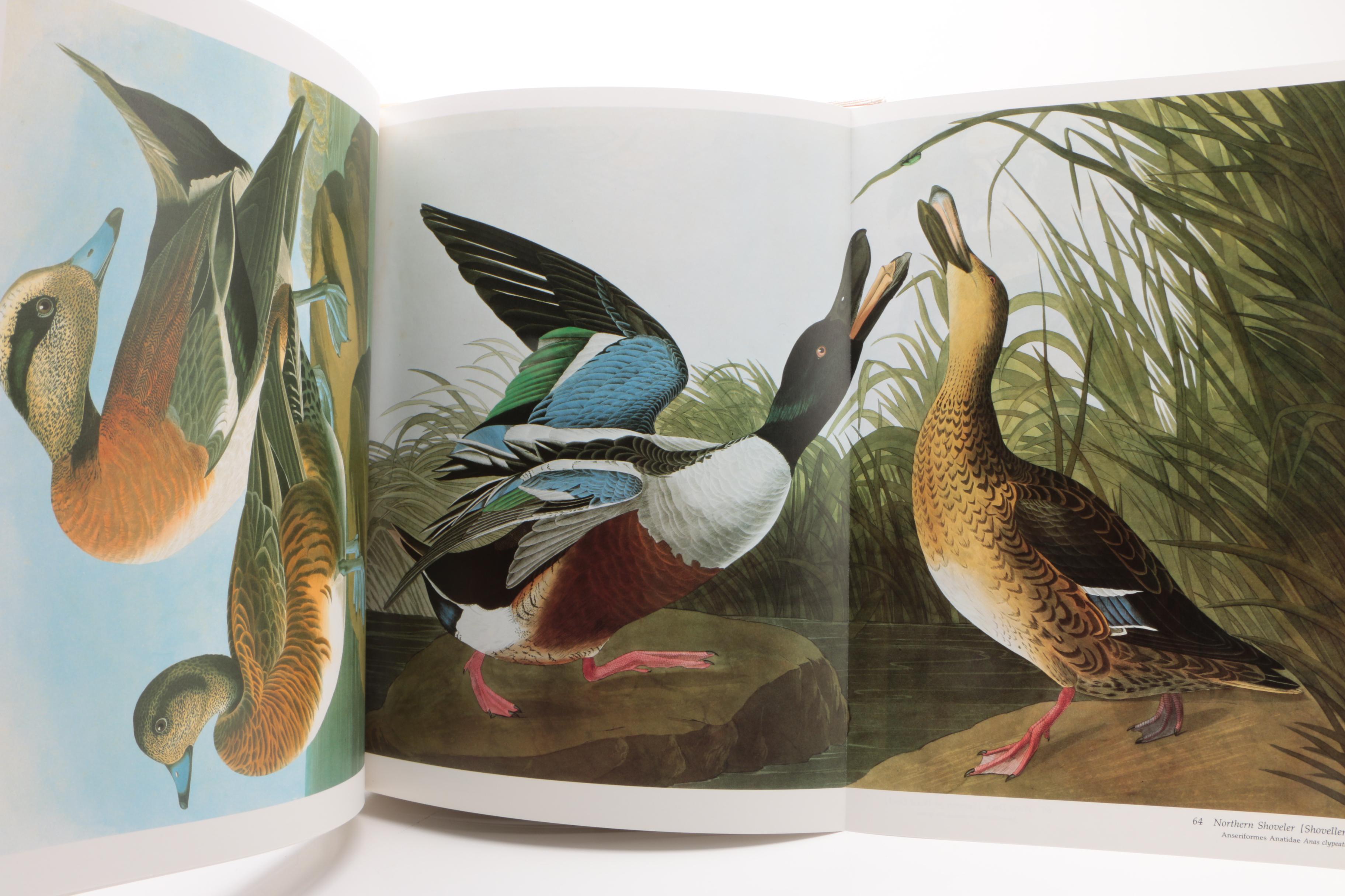 1981 Second Printing "Audubon's Birds of America" Baby Elephant Folio