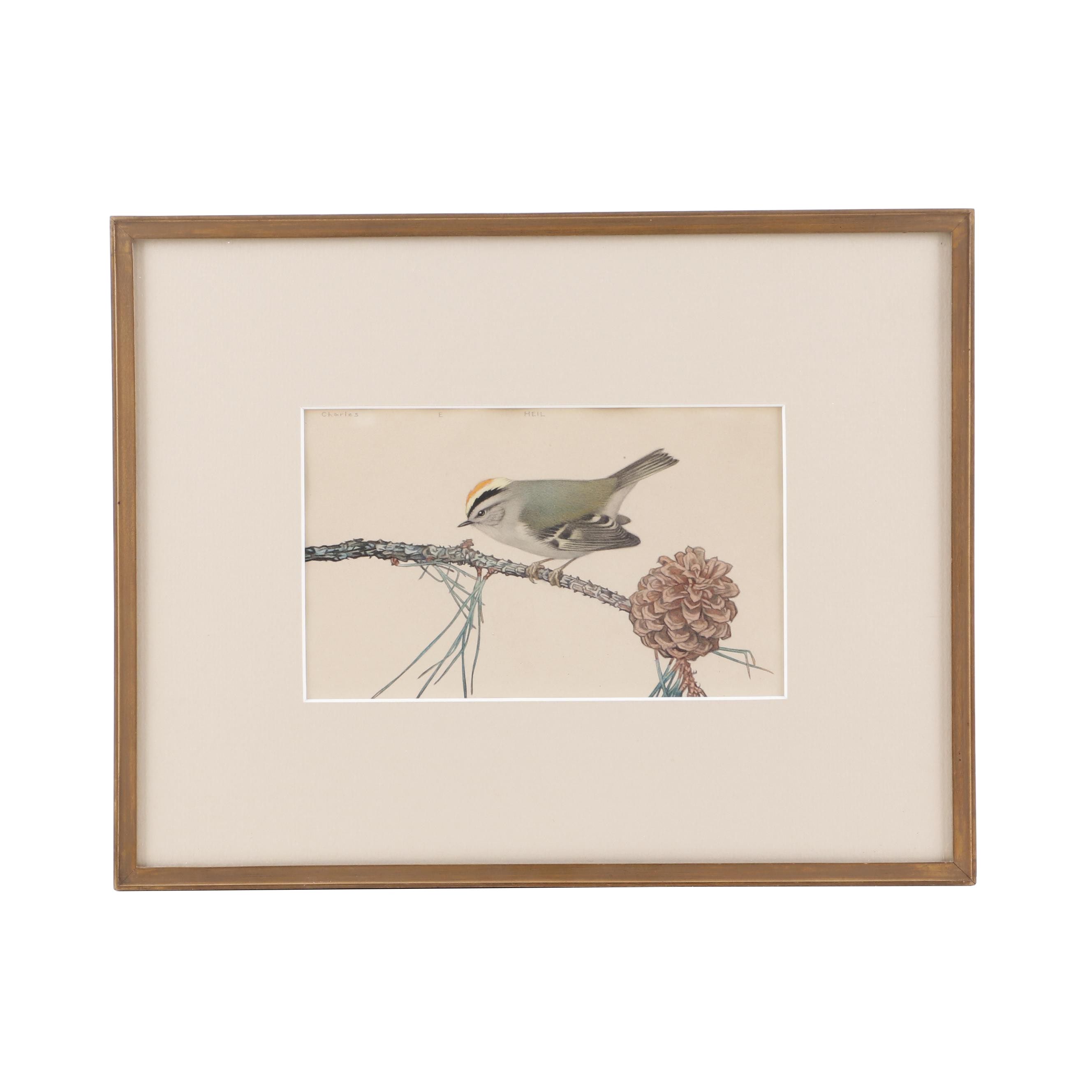 Charles Watercolor Painting "Heil"