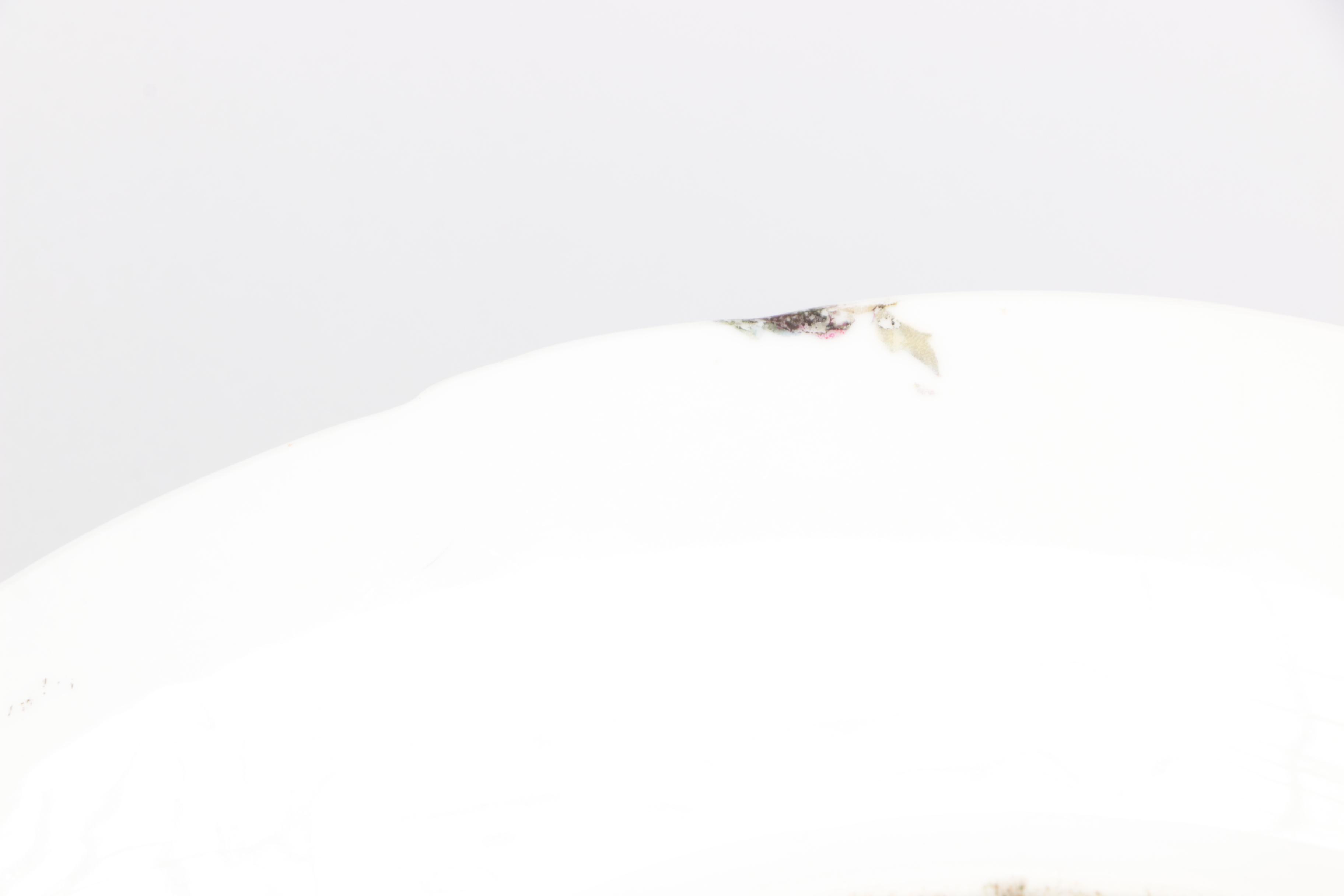 Schwarzburg, Rossetti, and Other Hand-Painted Porcelain Serveware