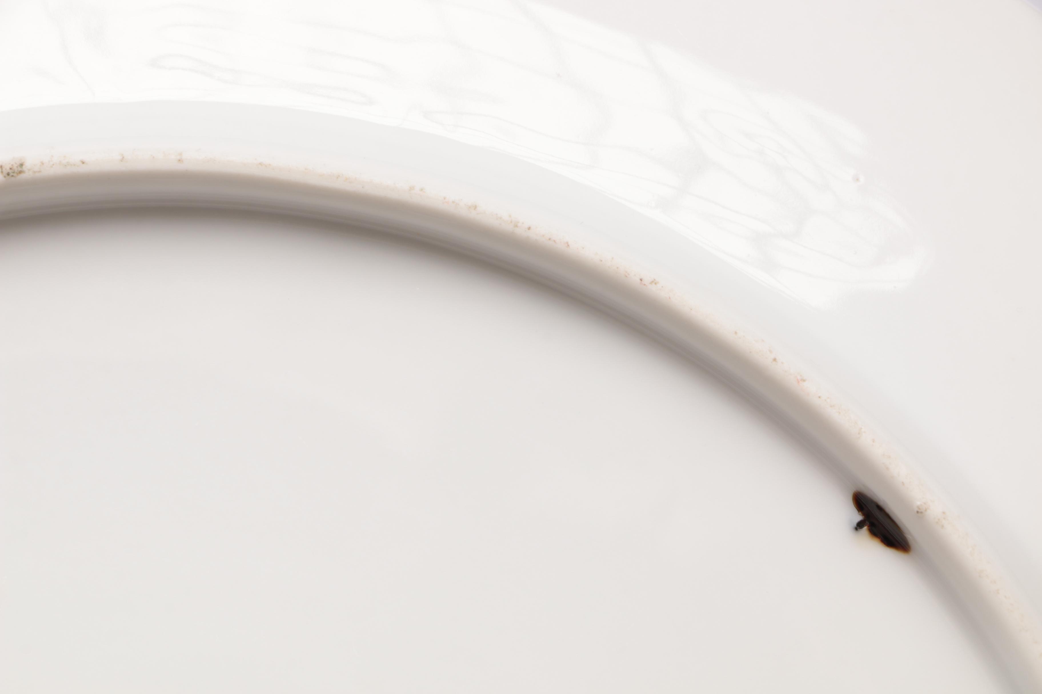 Schwarzburg, Rossetti, and Other Hand-Painted Porcelain Serveware