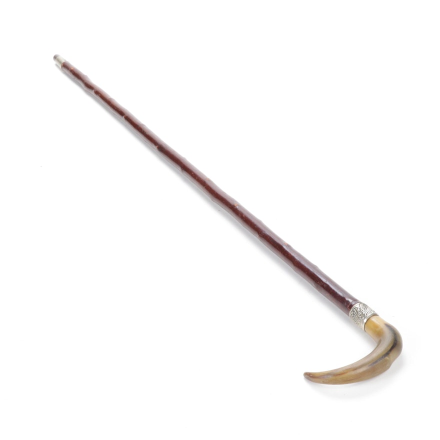 Horn Topped Cane