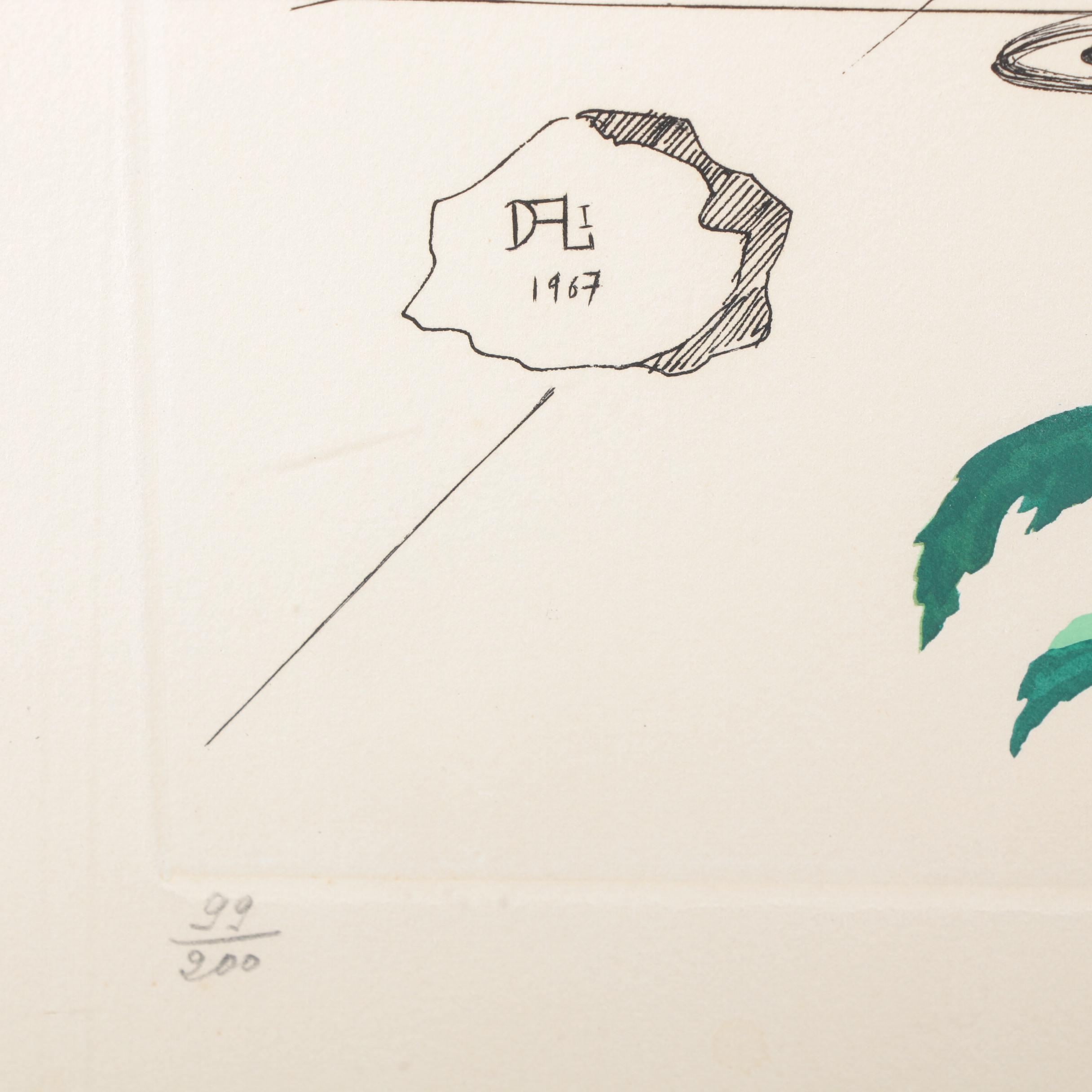 Salvador Dalí Mixed Media Print "Chrysanthemum Frutescens"