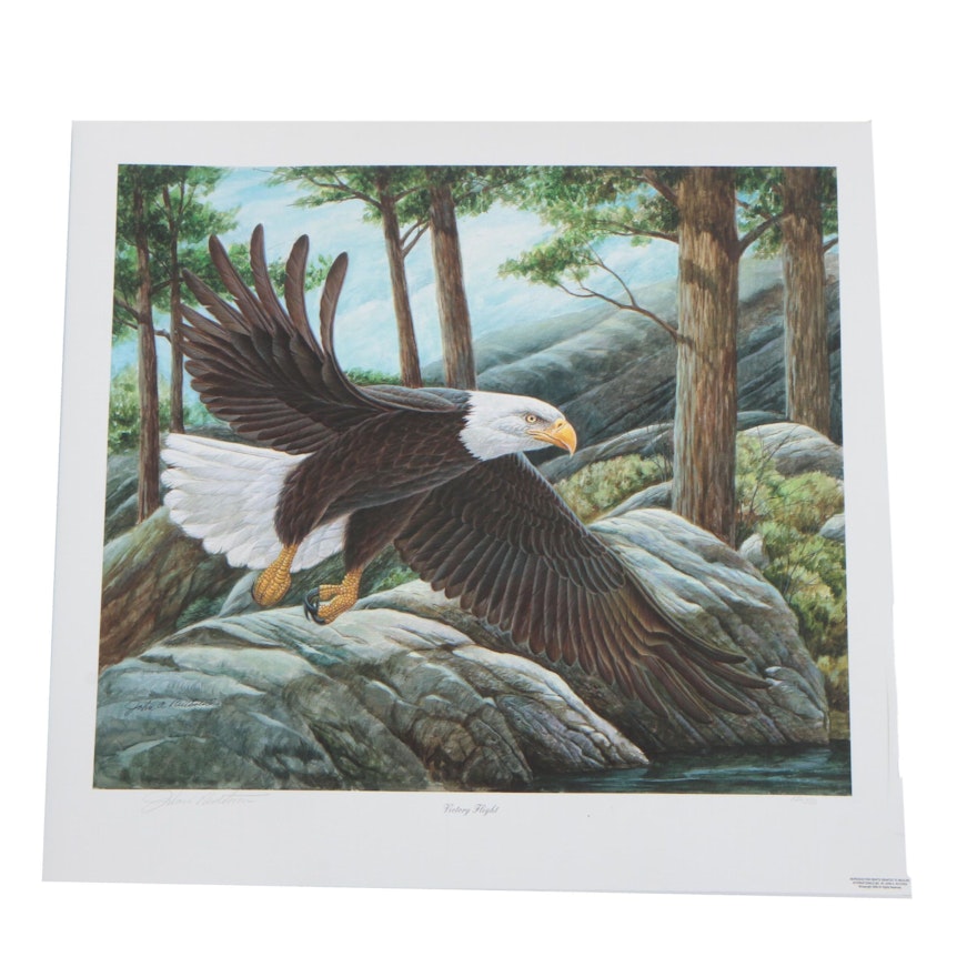 John Ruthven Giclée "Victory Flight"