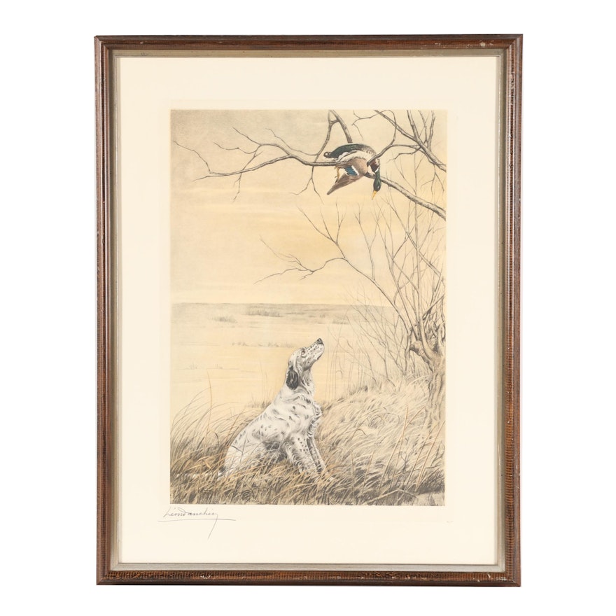 Leon Danchin Color Engraving "Hunting Dog Looking at a Duck"