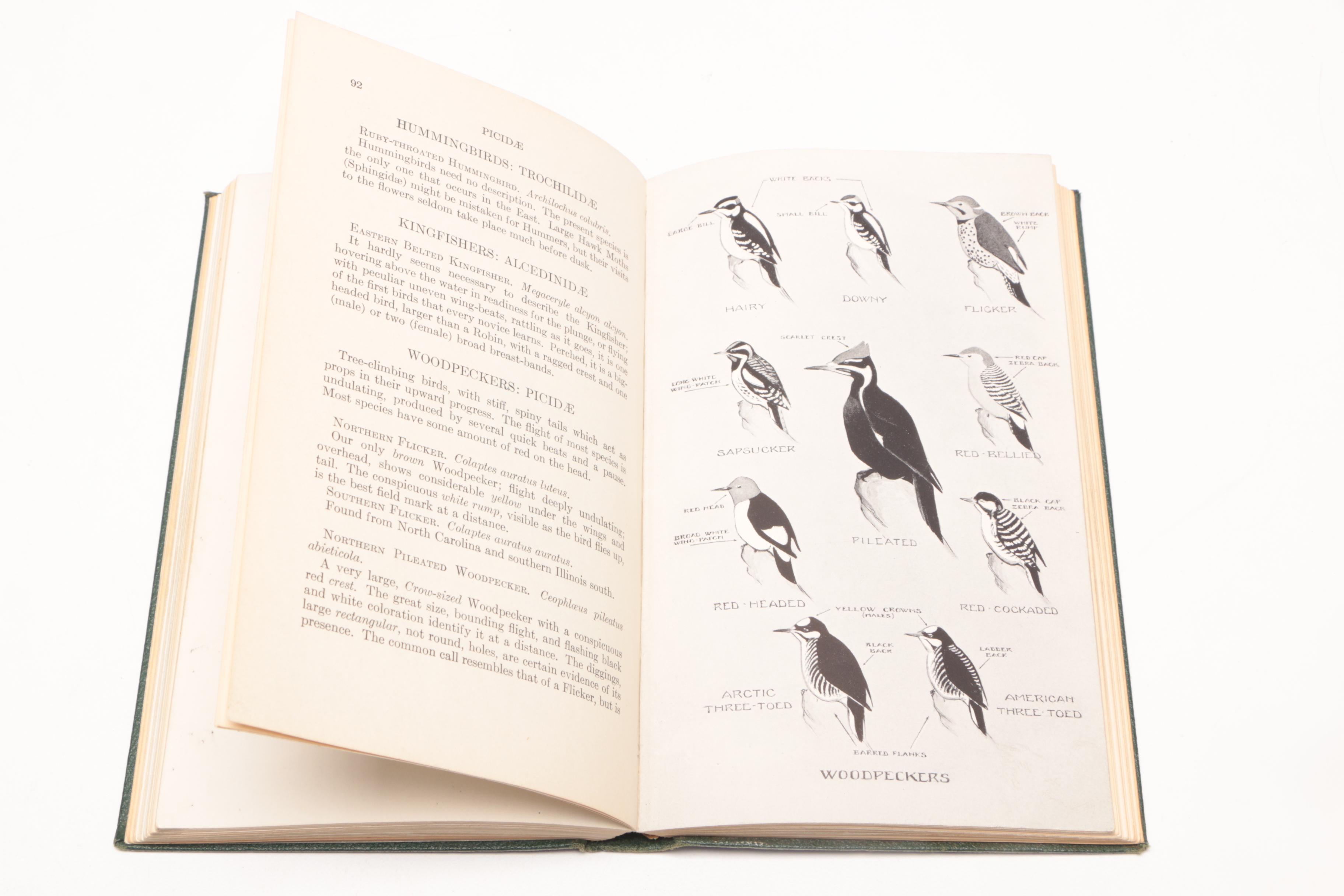 1934 Signed First Edition "A Field Guide to the Birds" by Roger Tory Peterson
