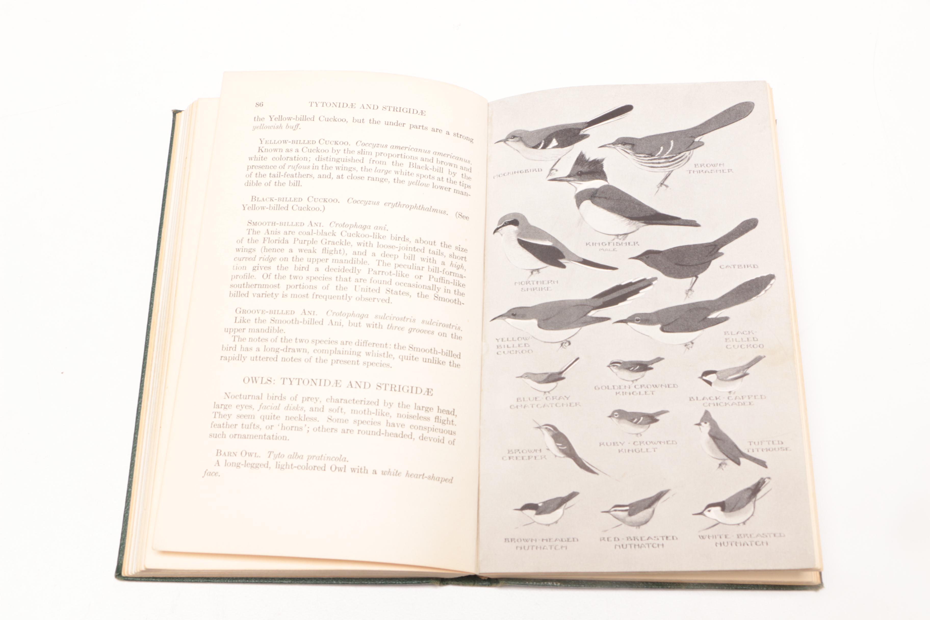 1934 Signed First Edition "A Field Guide to the Birds" by Roger Tory Peterson