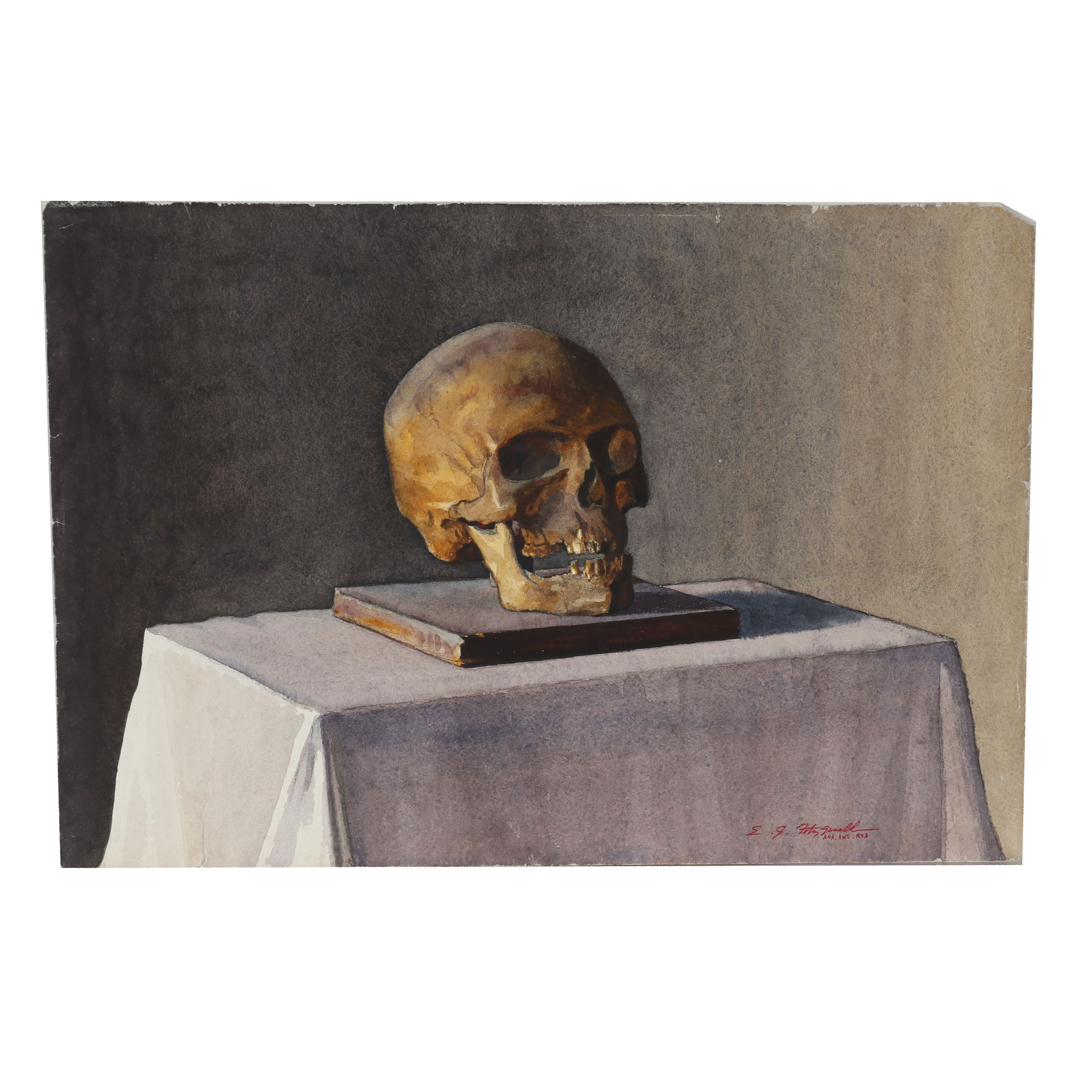 Edmond Fitzgerald Watercolor Painting of Vanitas Still Life with Skull