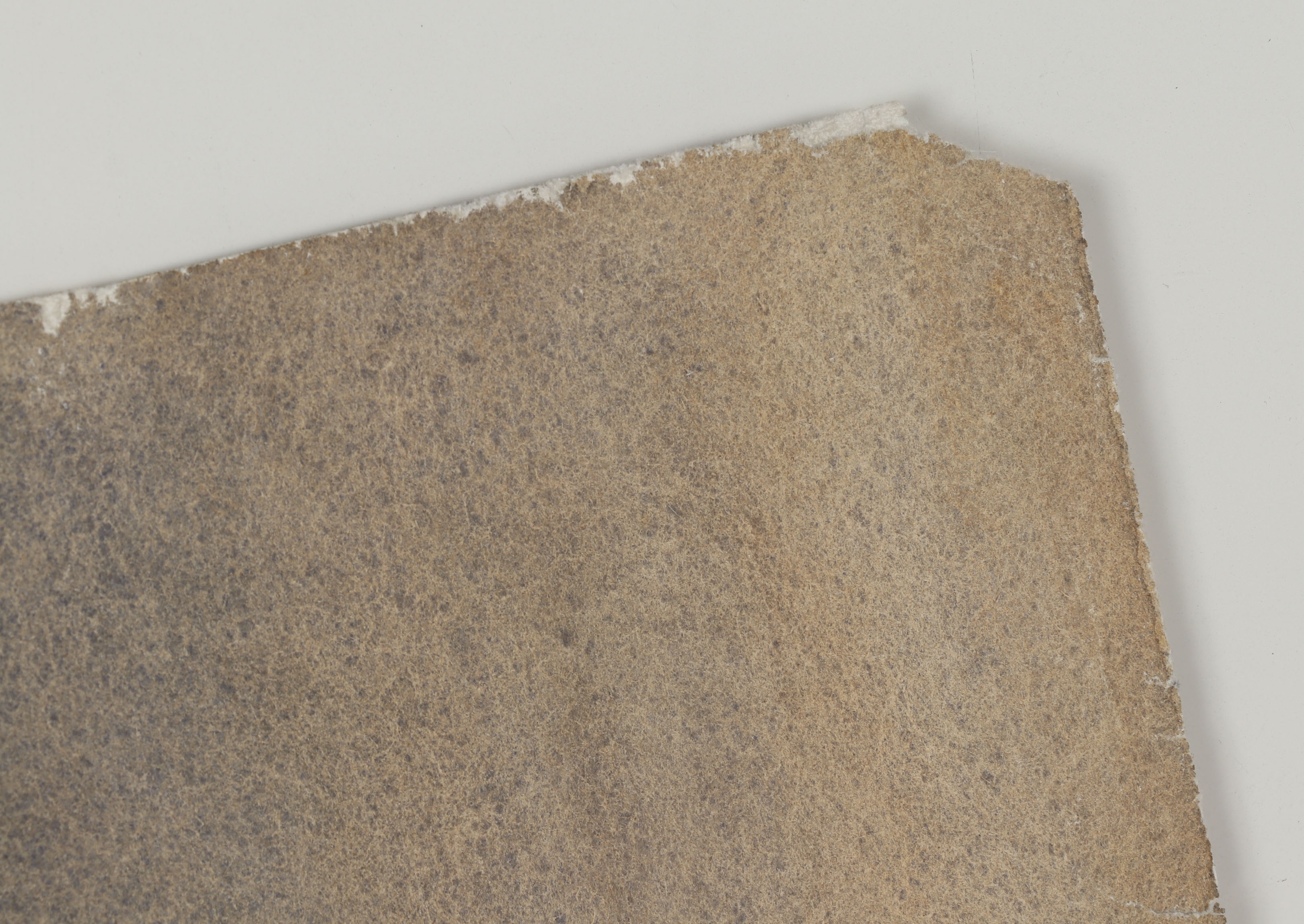 Edmond Fitzgerald Watercolor Painting of Vanitas Still Life with Skull