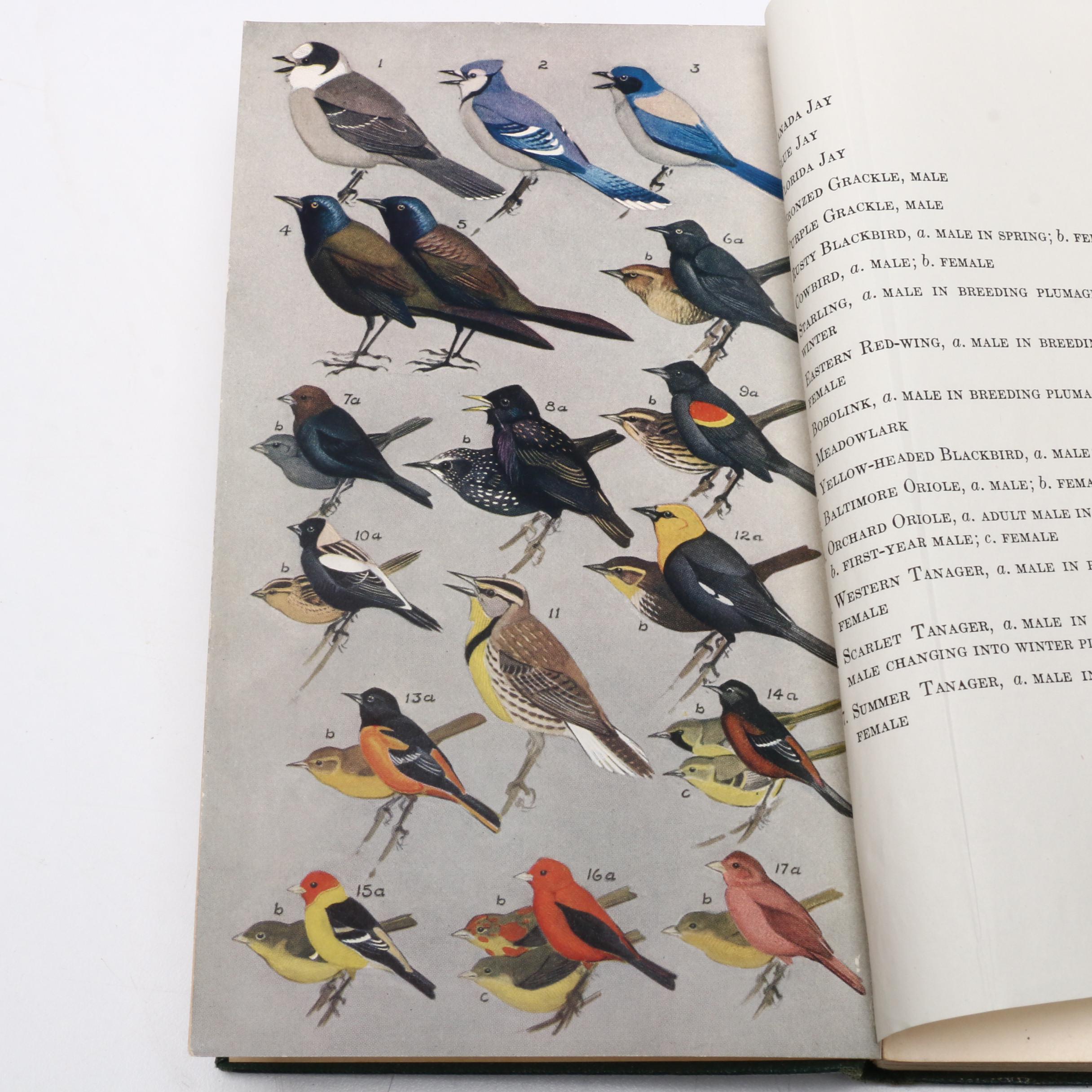 1934 Signed First Edition "A Field Guide to the Birds" by Roger Tory Peterson