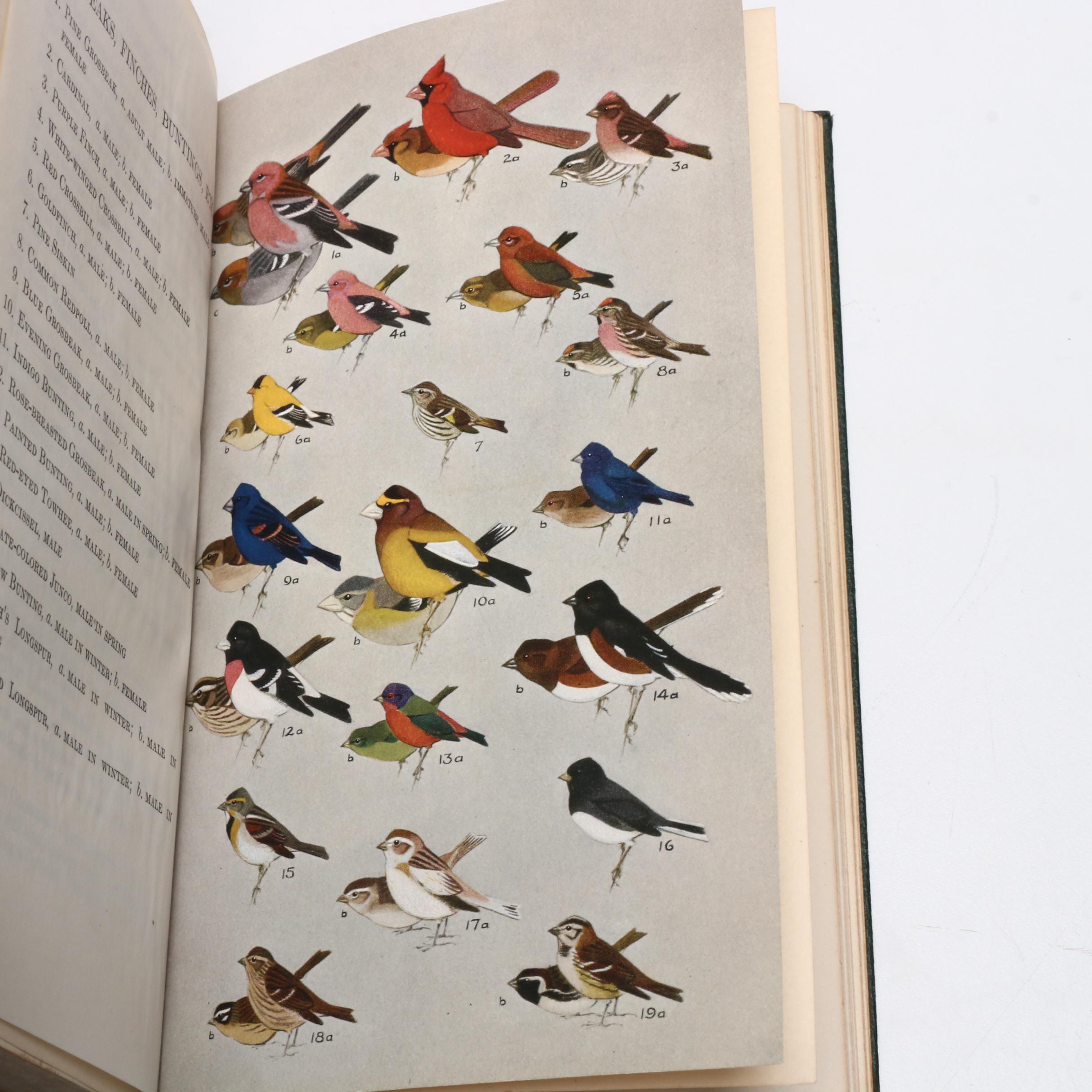 1934 Signed First Edition "A Field Guide to the Birds" by Roger Tory Peterson