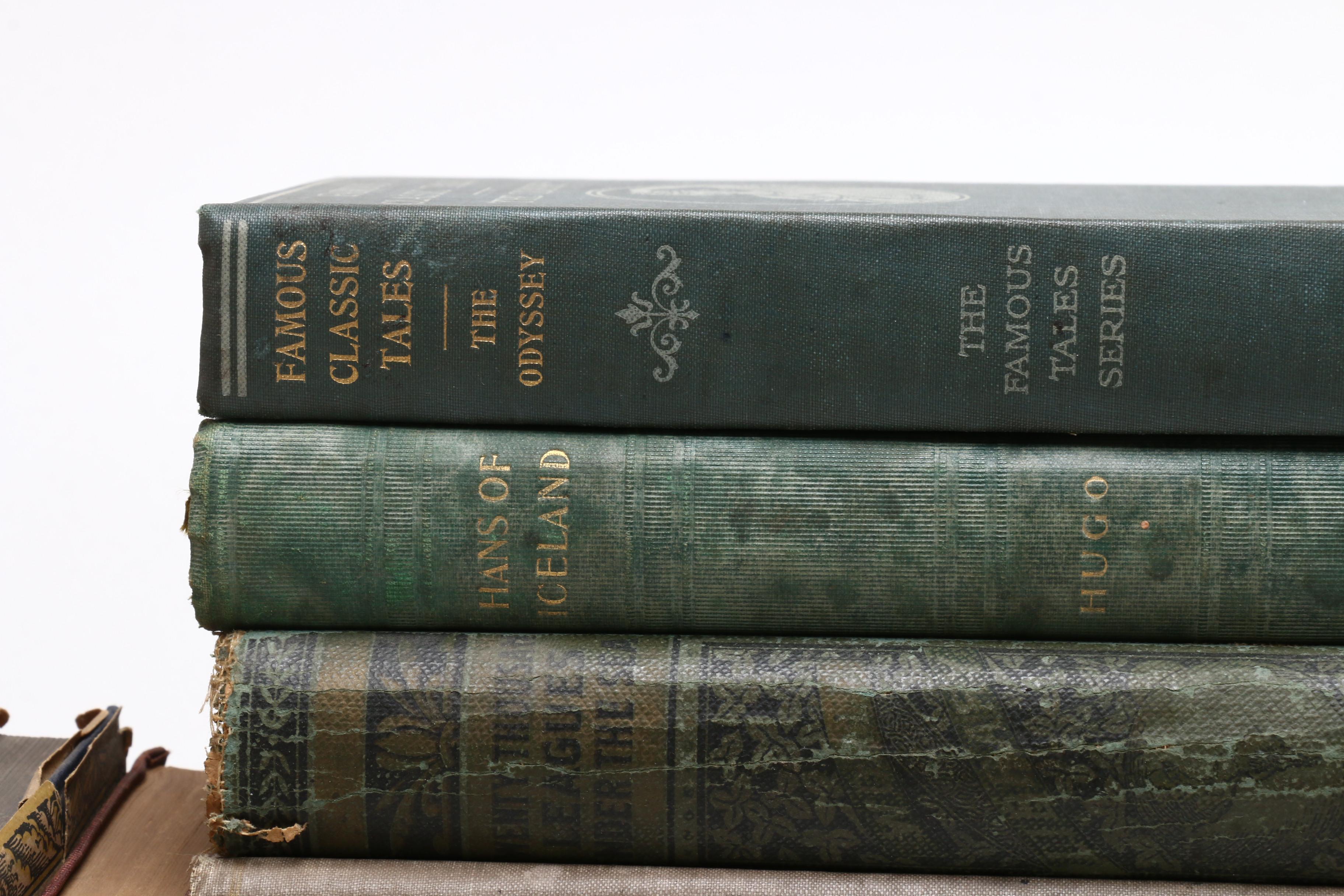 Classical Literature with Willy Pogány Illustrated "Rubáiyát of Omar Khayyám"