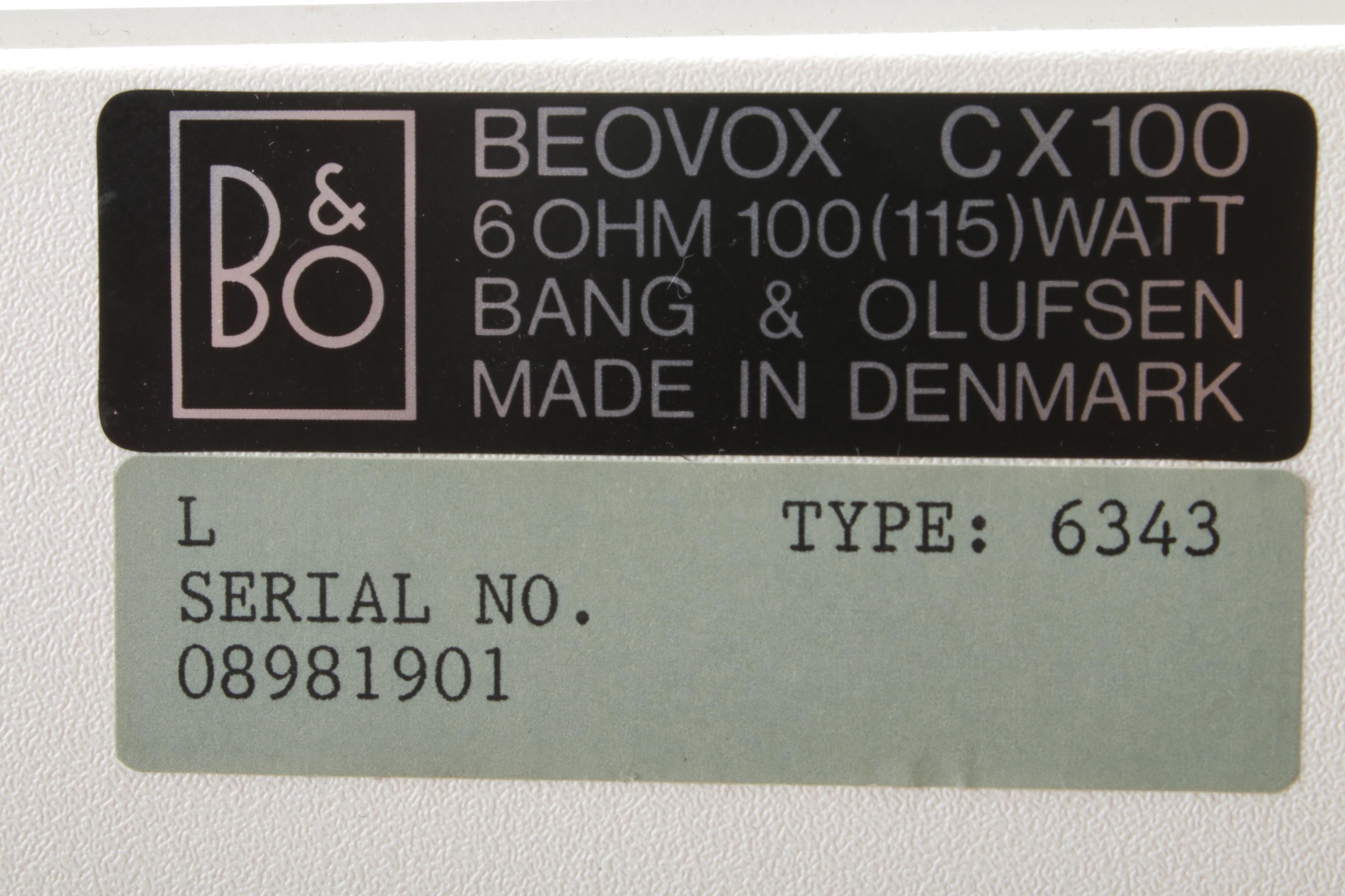 Bang & Olufsen Beovox CX 100 Bookcase Speakers