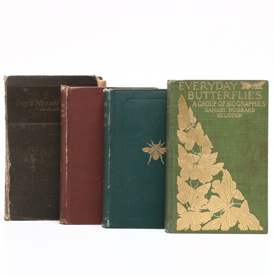 Antique Nature Books featuing "The Butterflies of the Eastern United States"