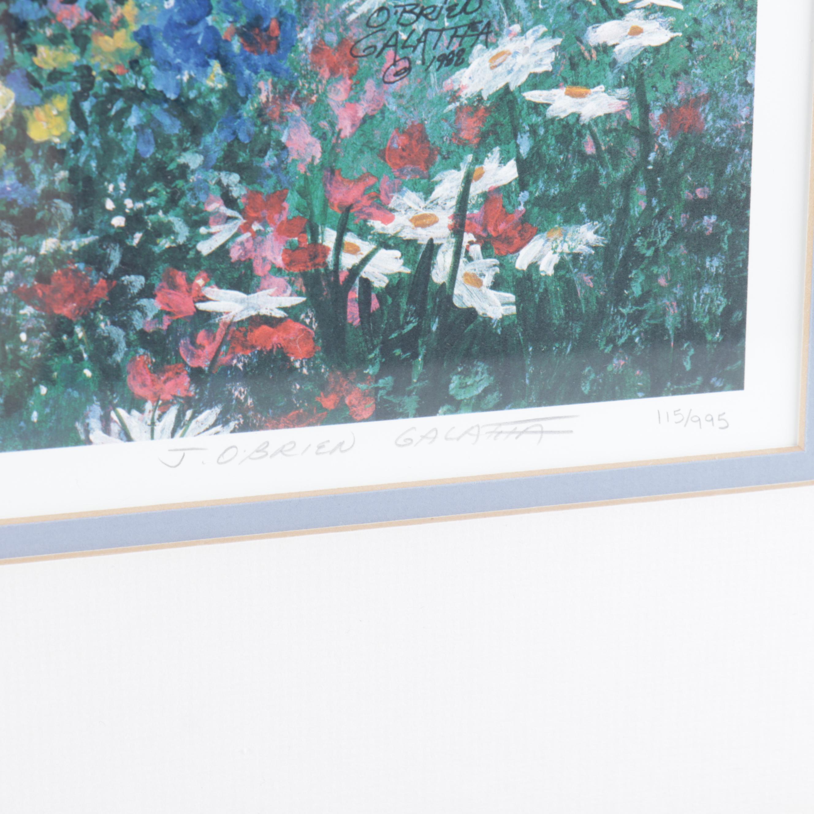 Judy O'Brien Galatha Landscape Offset Lithograph