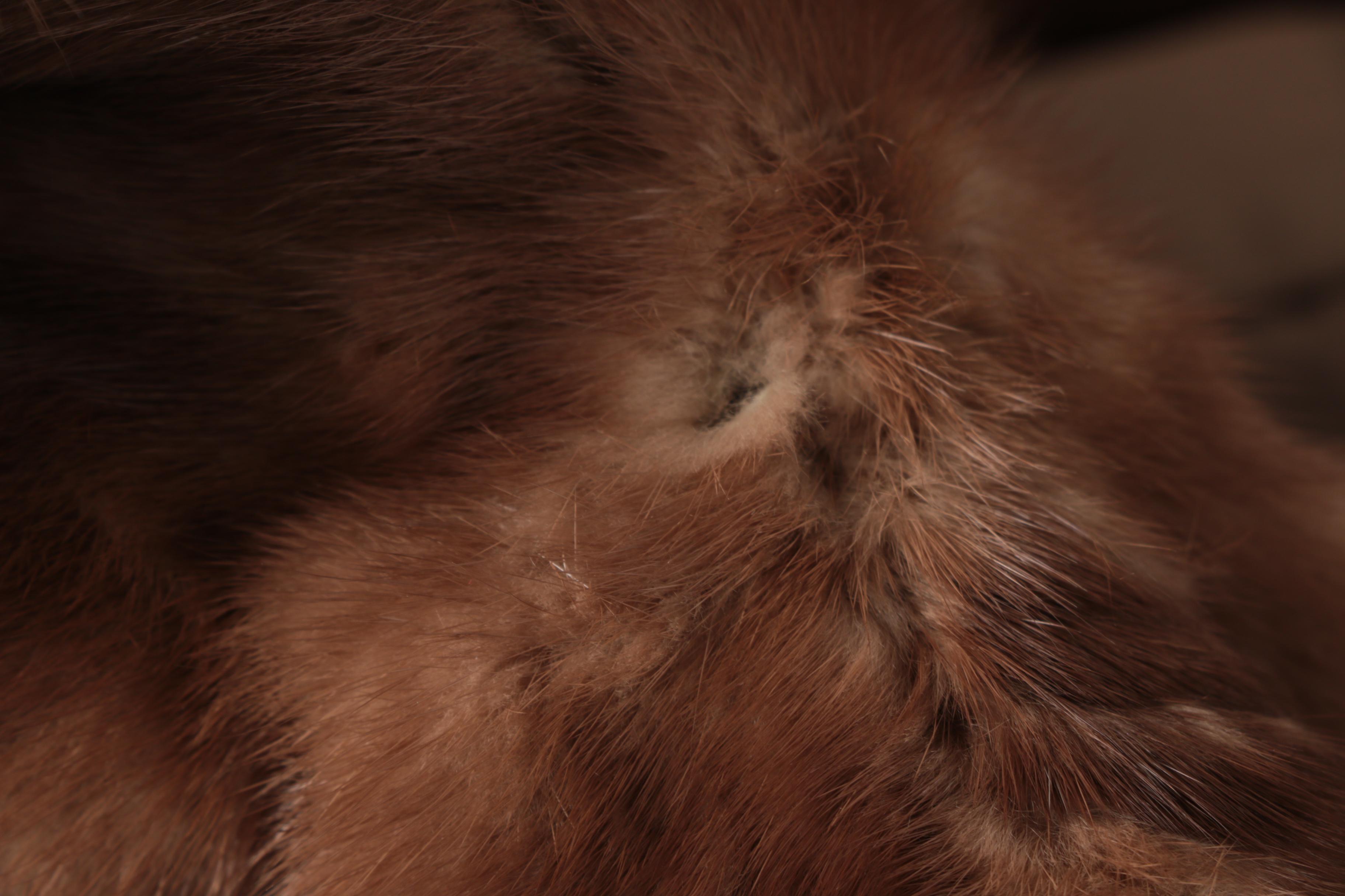 Emba Ranch Mink Fur Jacket from Dayton's, Vintage