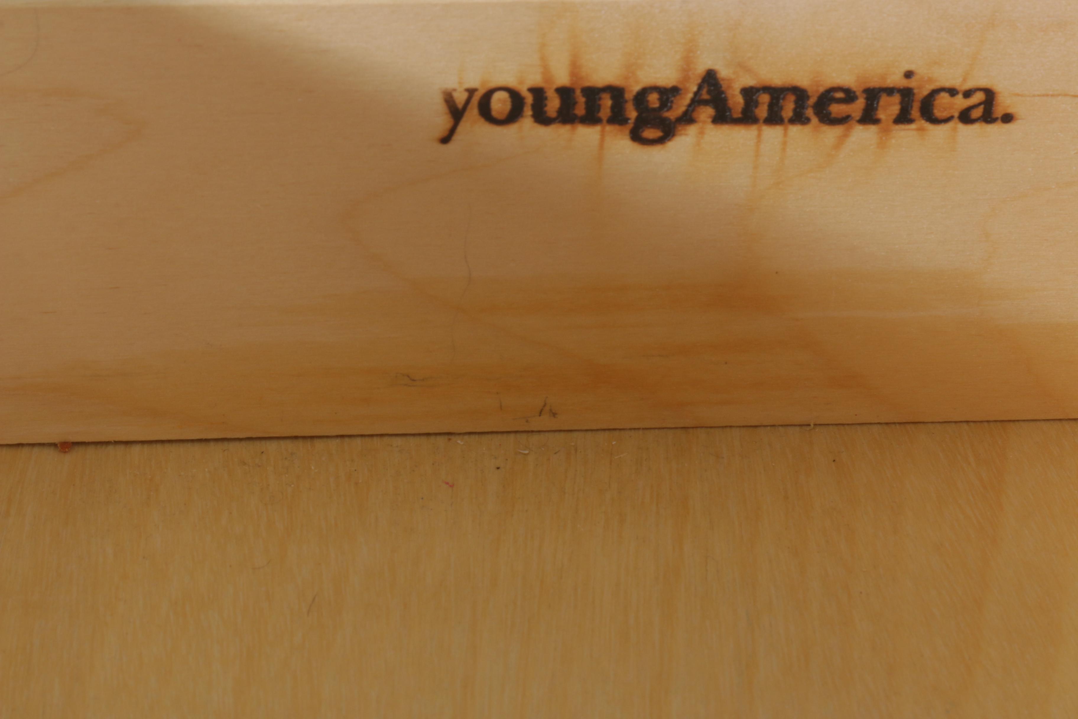 "Caroline" Nightstand by Stanley Furniture for Young America