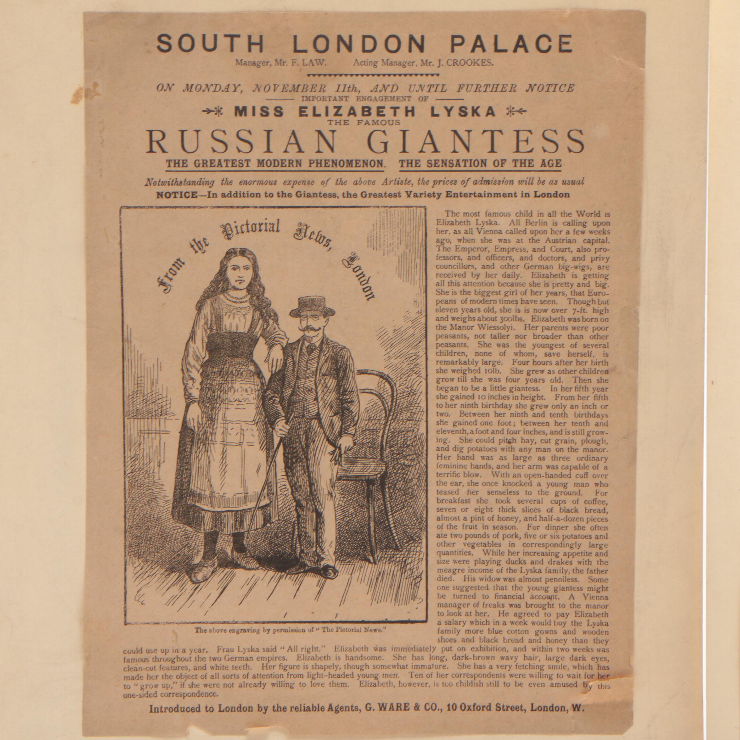 Newspaper, Book Clippings and Charcoal Drawings on Cardboard