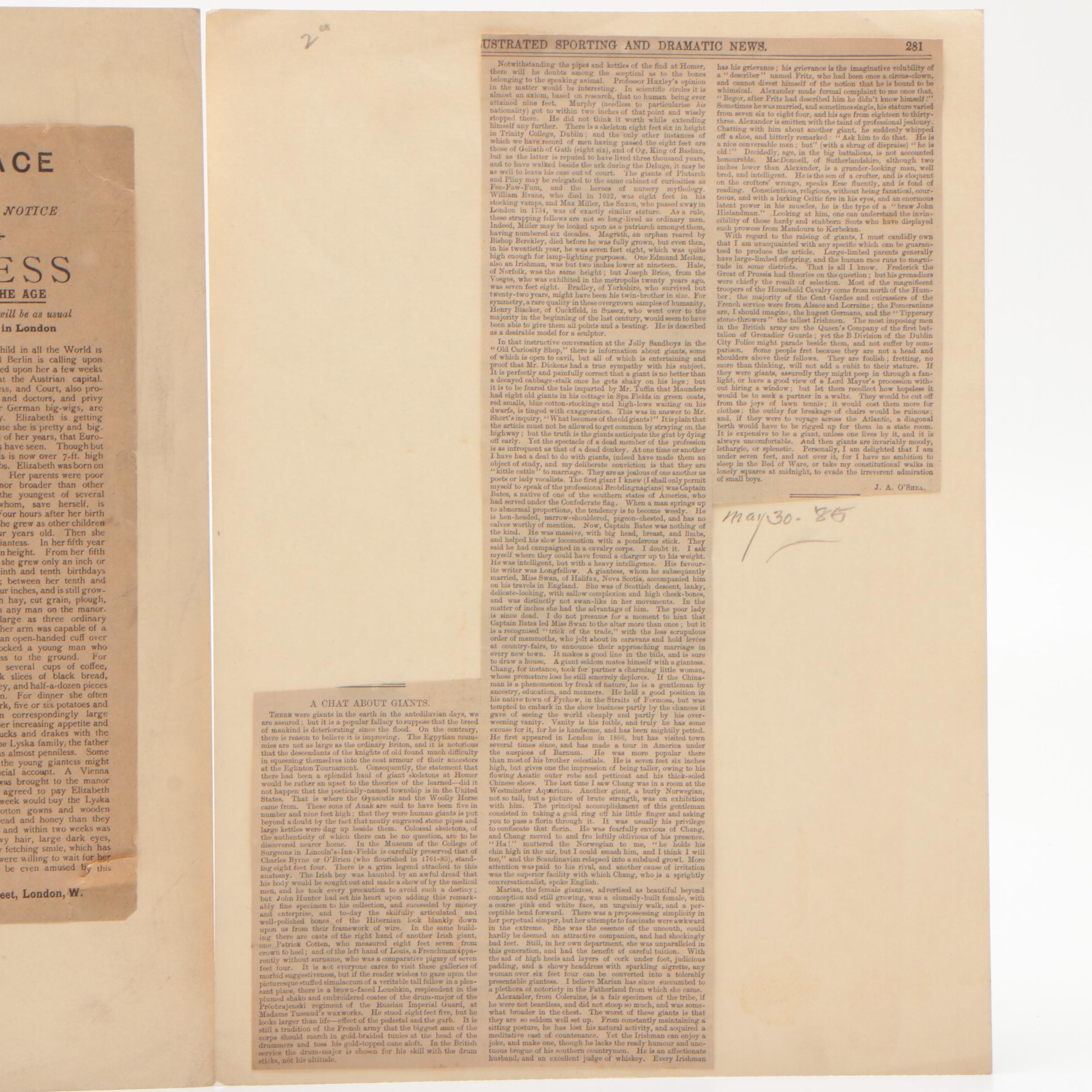 Newspaper, Book Clippings and Charcoal Drawings on Cardboard